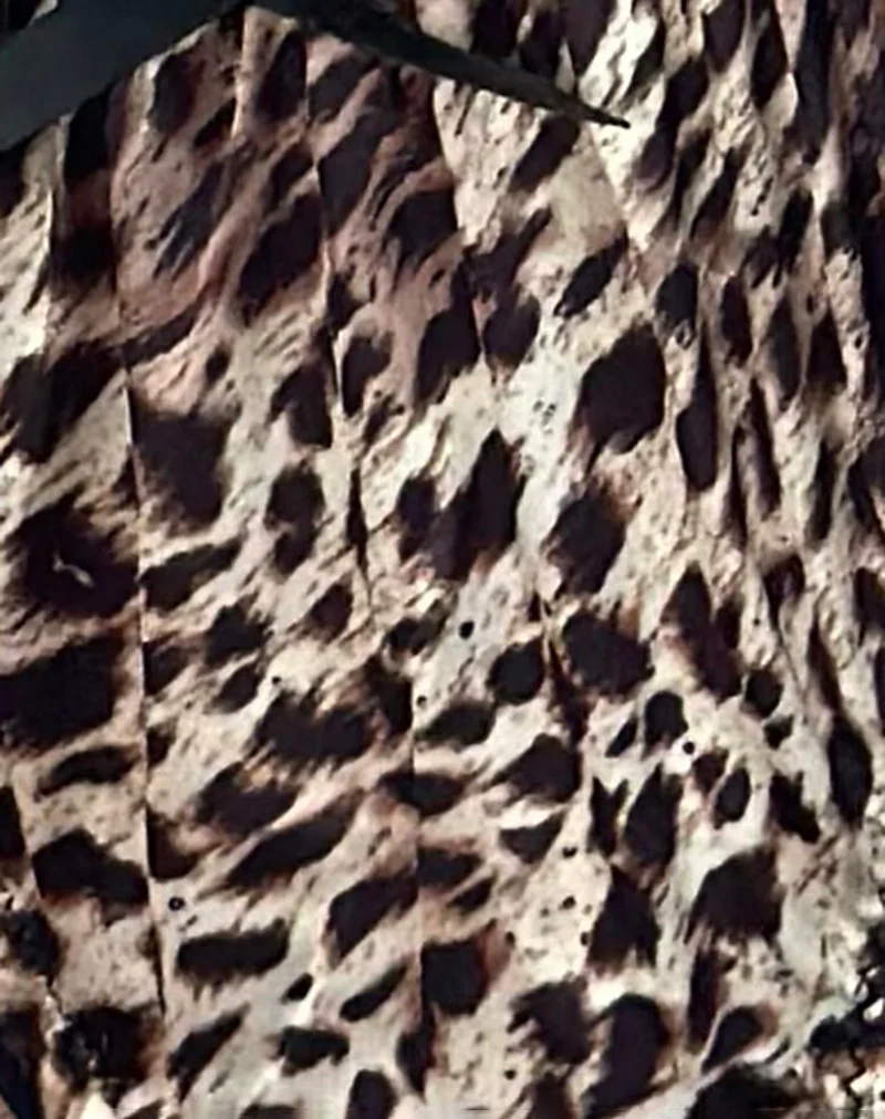 Adrienne Thong in Leopard Print - Image 6