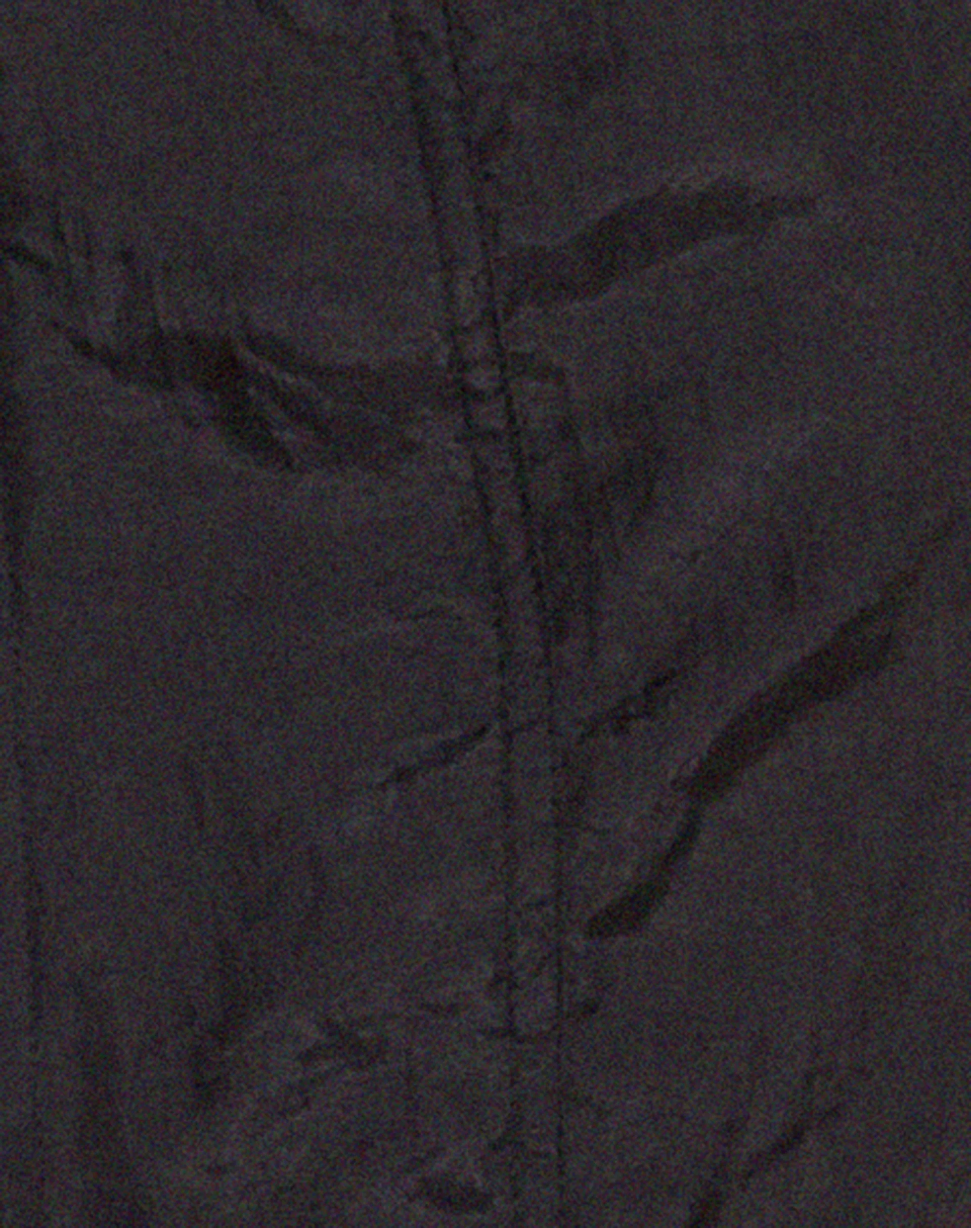 Anggi Mini Zip Up Dress in Parachute Black - Image 8