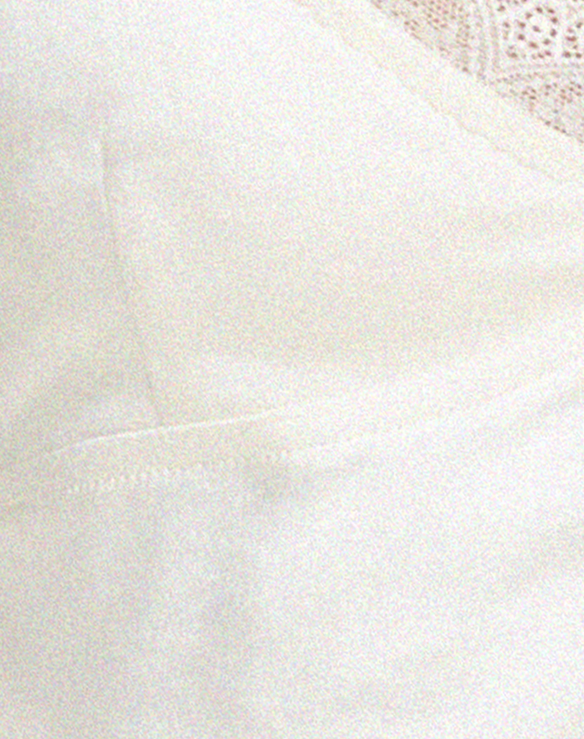 Apulia Butterfly Top in Satin Ivory - Image 5