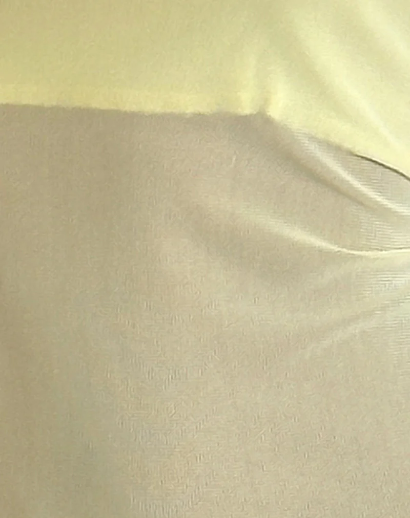 Arabella Halterneck Top in Mesh Lemon - Image 6