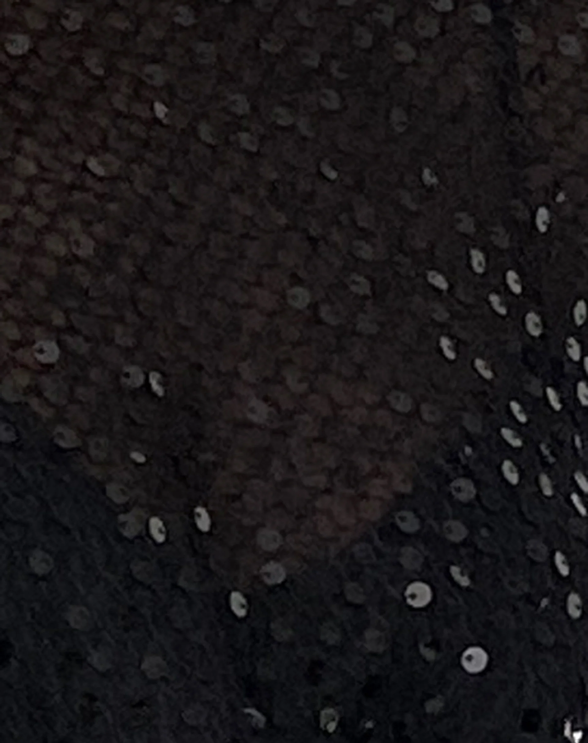 Aridani Unlined Long Sleeve Top in Black Sequin - Image 6