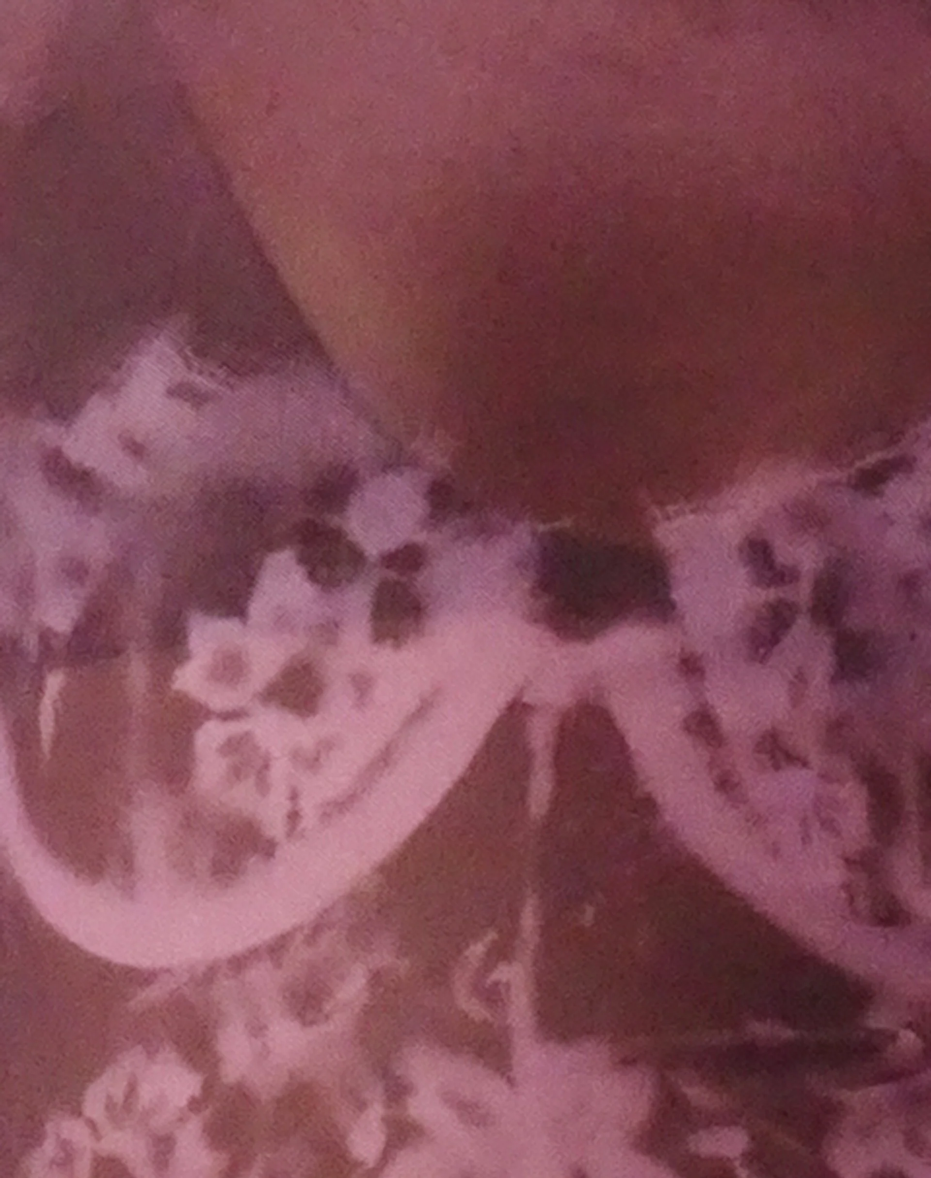 Armali Long Sleeve Top in Burgundy with Lace Bra Scan - Image 6