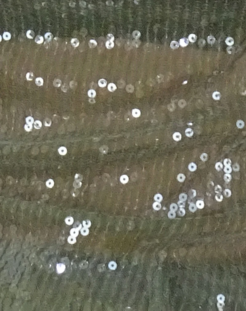 Ashram Top in Clear Khaki Green Sequin - Image 6