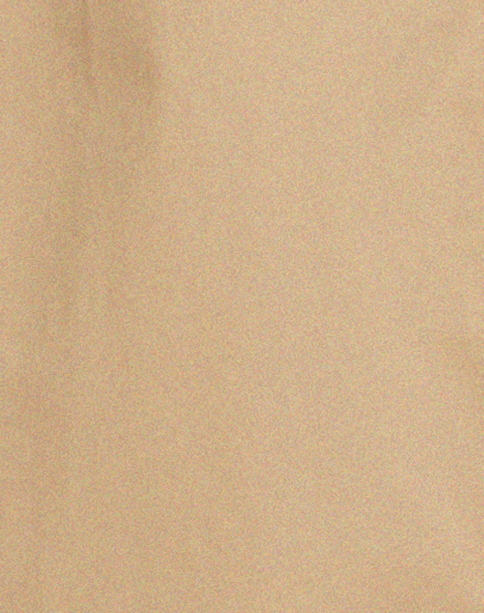 Assa Trench Coat in Tan with Stripe Lining - Image 6
