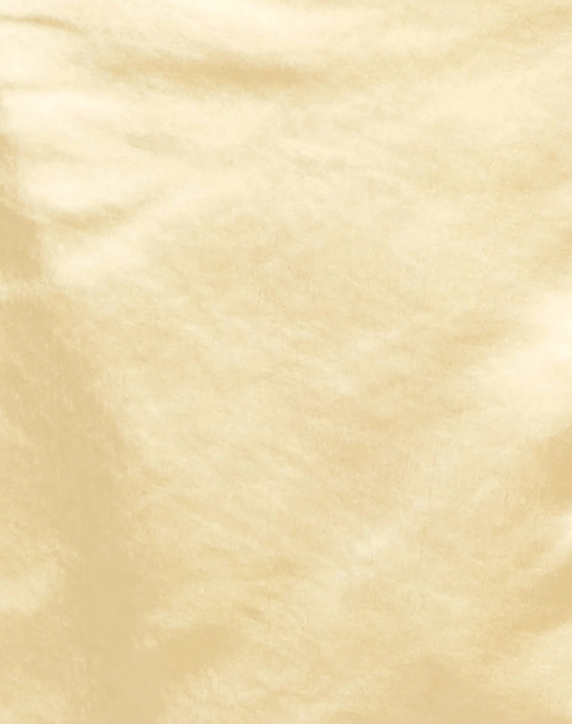 Baina Crop Top in Satin Buttercream - Image 5