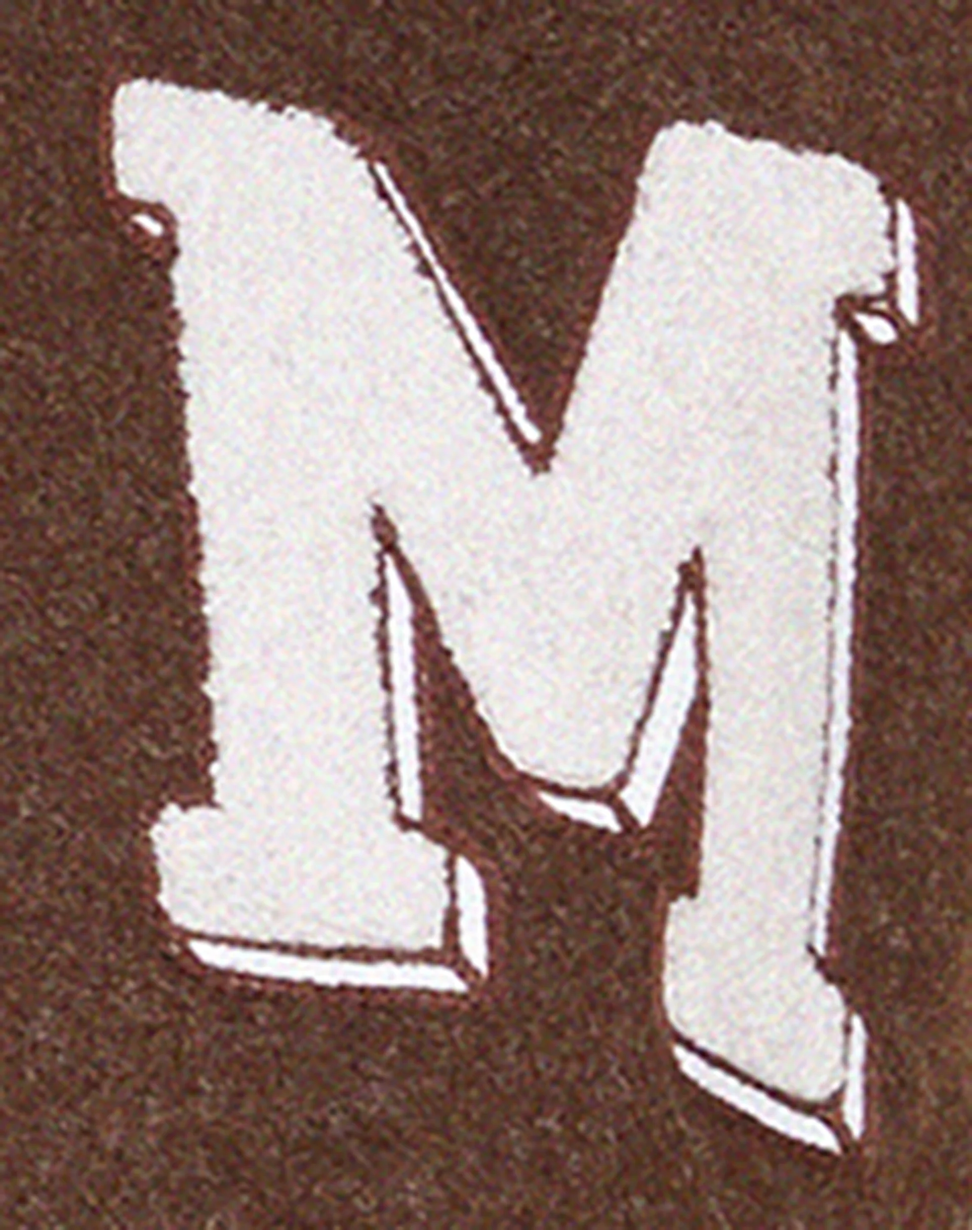 Bama Varsity Jacket in Brown Beige - Image 6