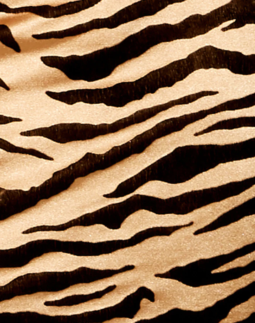 Besdy Midi Dress in Tiger Gold - Image 5
