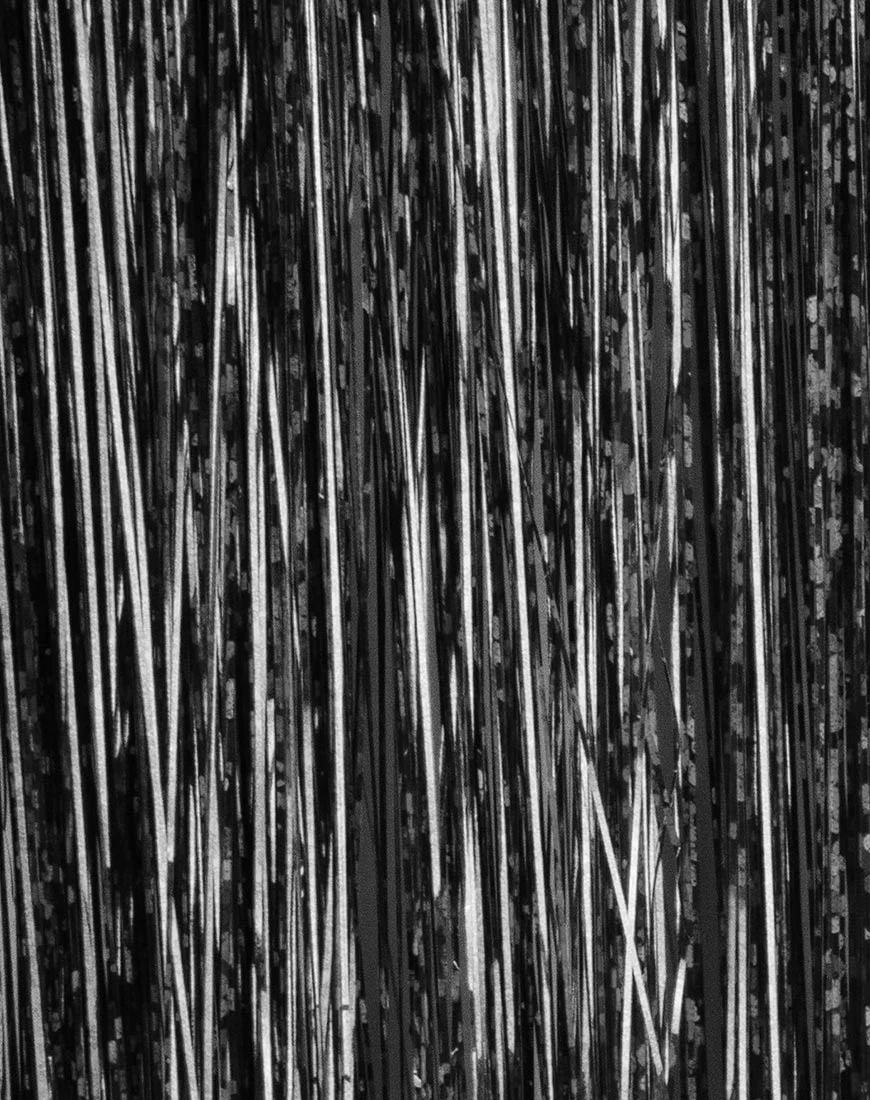 Black Tinsel Hair Extension by Shrine - Image 2