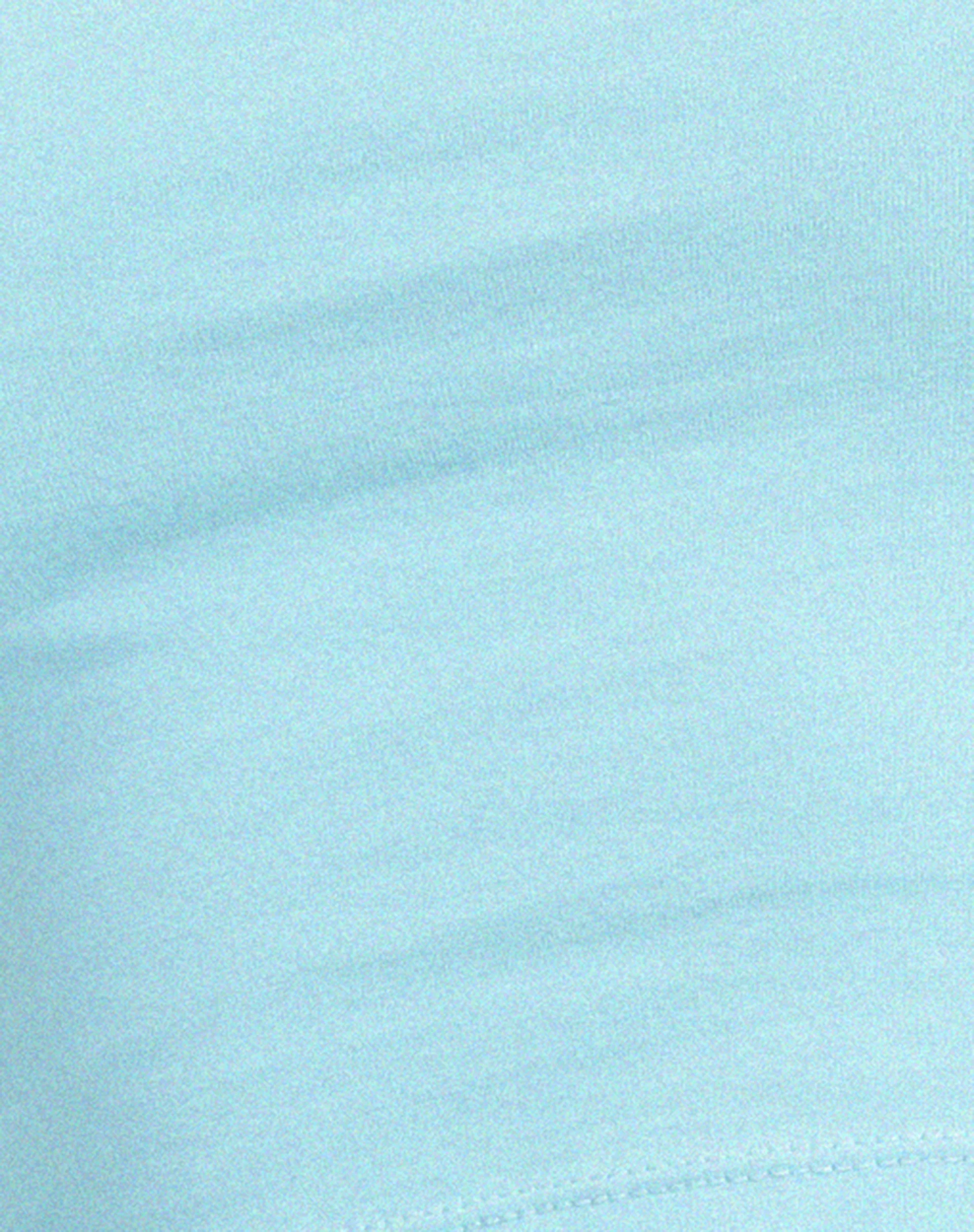 Brandy Long Sleeve Top in Petit Flour Blue - Image 5