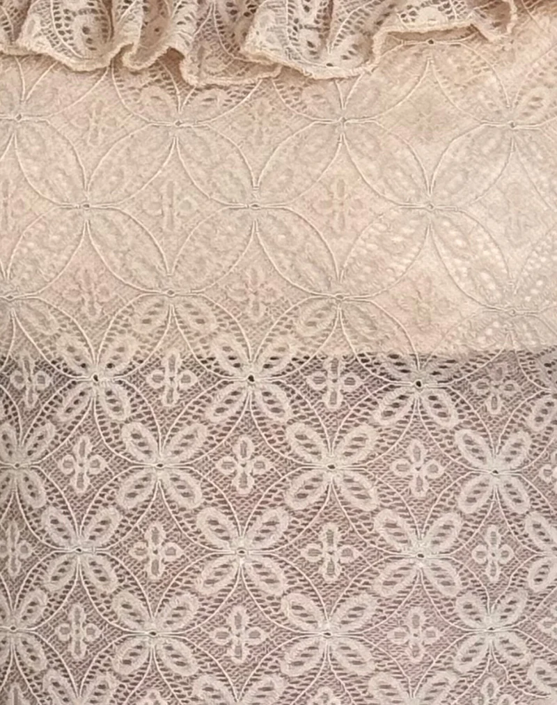 Caelyn Long Sleeve Top in Textured Nude Lace - Image 7