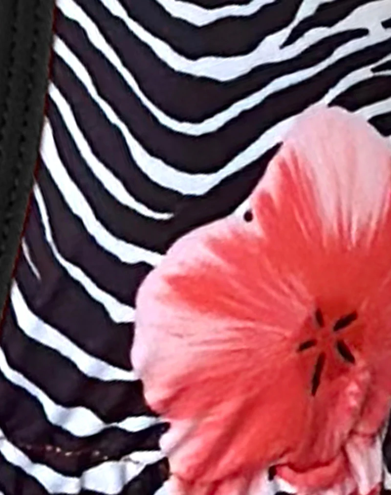 Cerry Bikini Top in Floral Zebra with Contrast Binding - Image 7