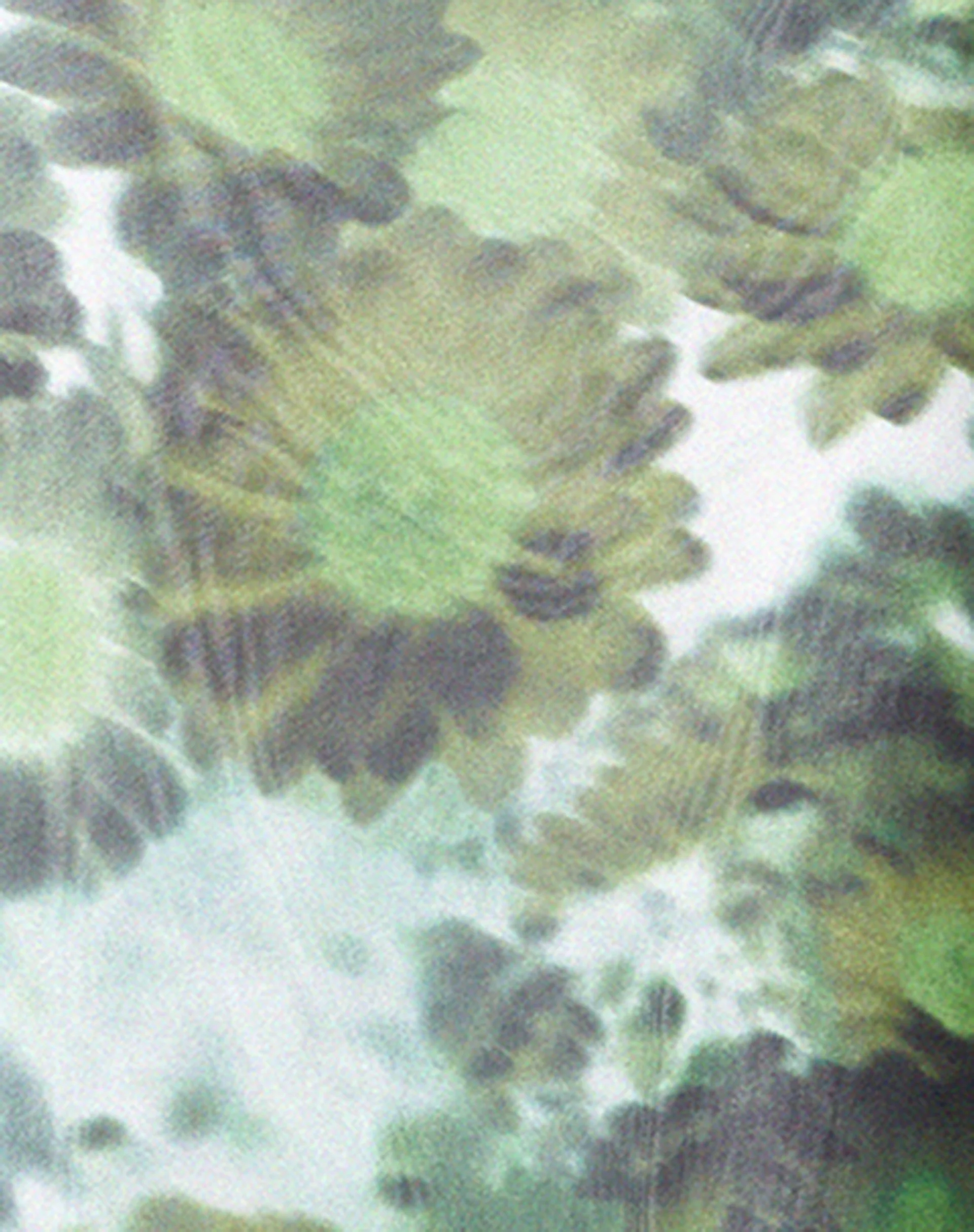 Chanda Maxi Dress in Xray Blurred Daisy Green - Image 5