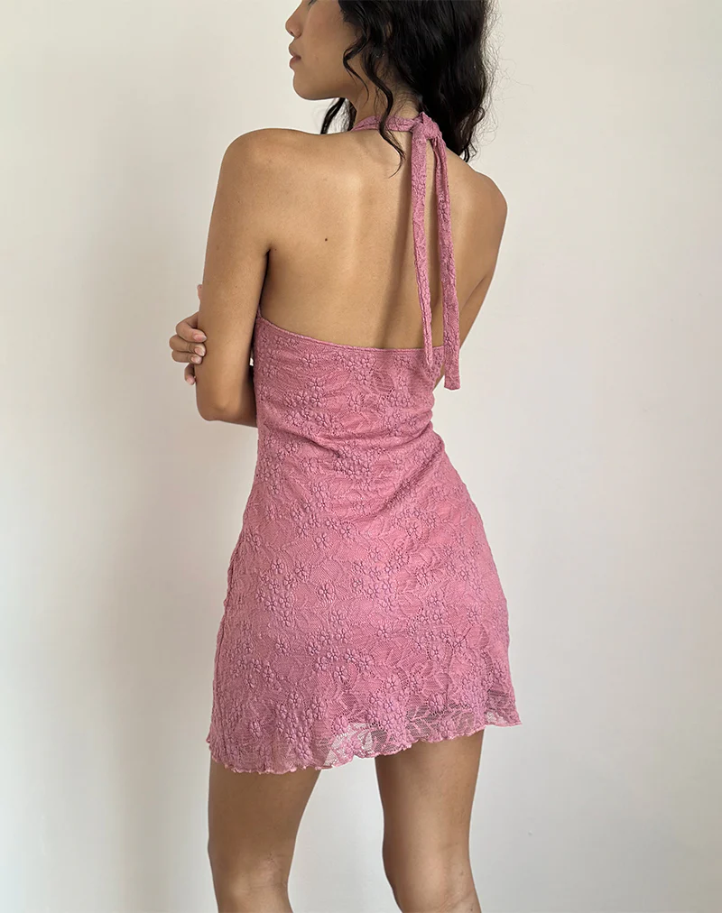 Codami Halterneck Mini Dress in Lace Dusty Rose - Image 5