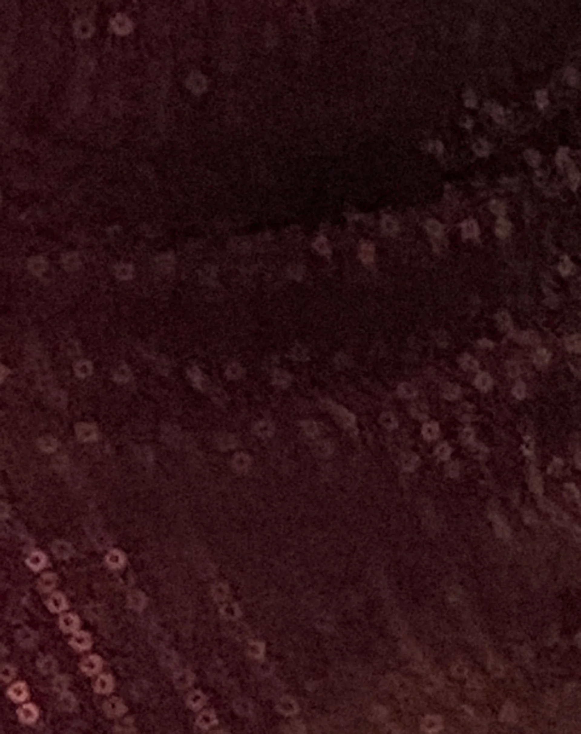 Cojira Butterfly Top in Sequin Burgundy - Image 8