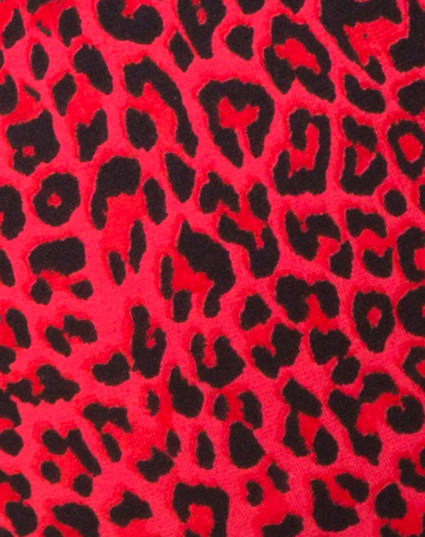 Cycle Short in Coloured Animal - Image 5