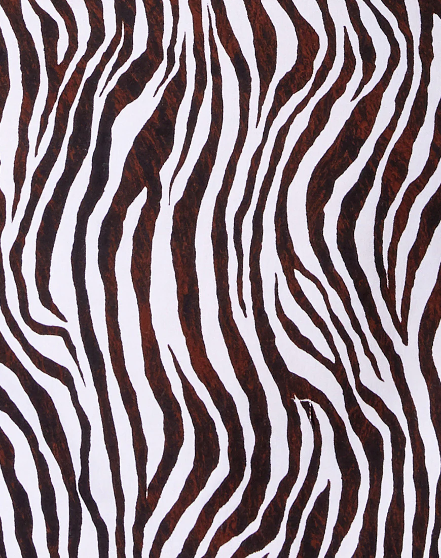 Datista Slip Dress in Zebra Vertical - Image 5