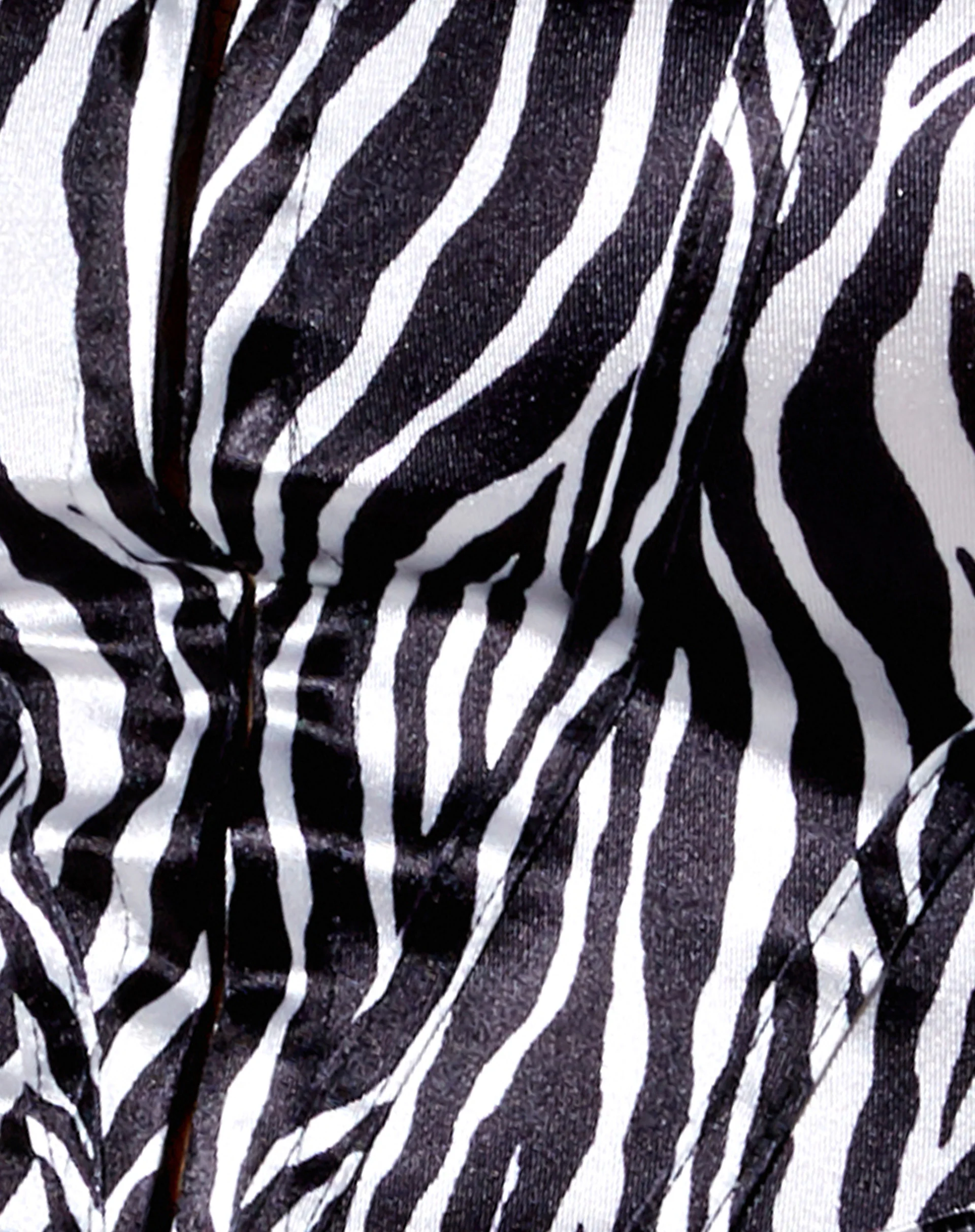Elci Corset Top in Zebra Vertical - Image 6