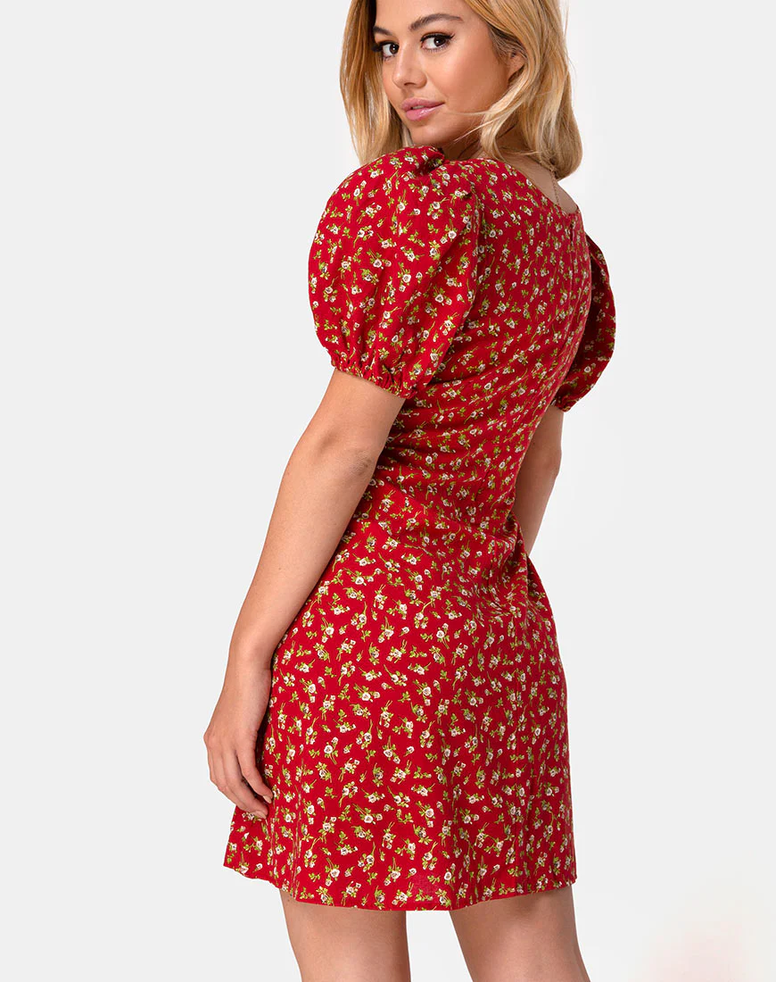 Elfira Dress in Falling for You Floral Red - Image 4