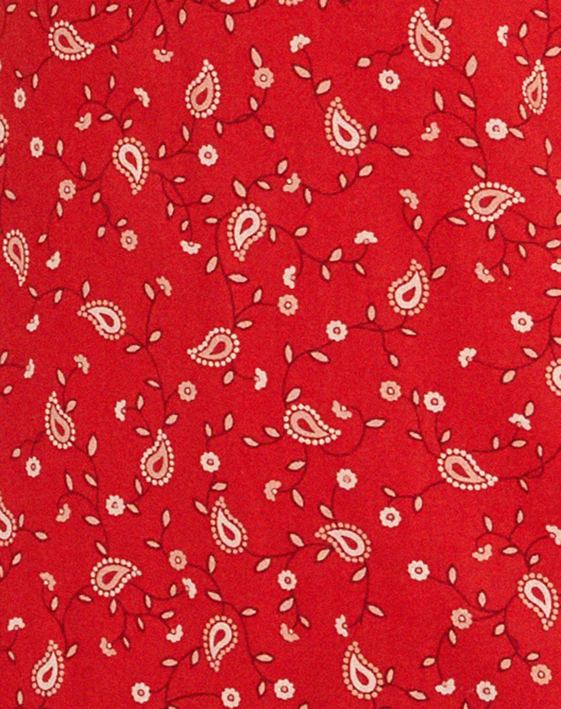 Eluned Day Dress in Paisley Fun Red - Image 7