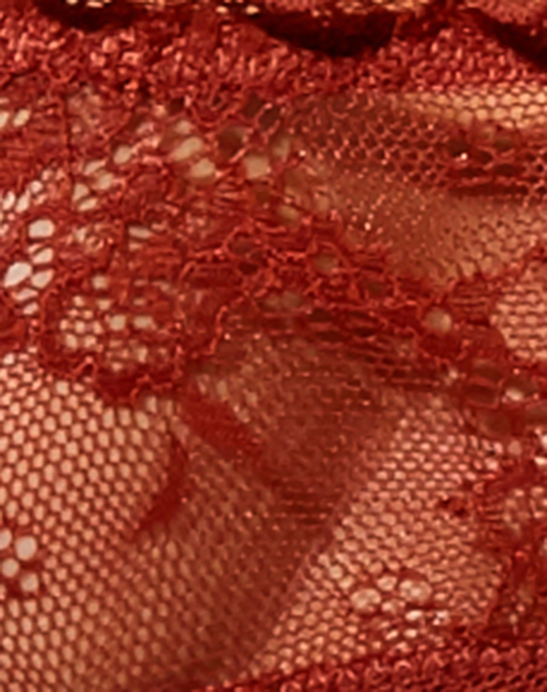 Evelyn Lace Brief in Picante - Image 8