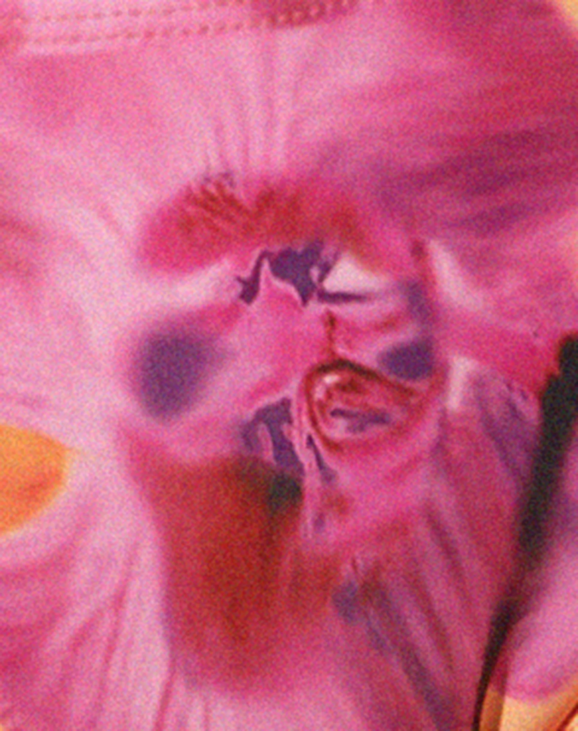 Farida Bikini Bottoms in Blurred Orchid Peach - Image 7