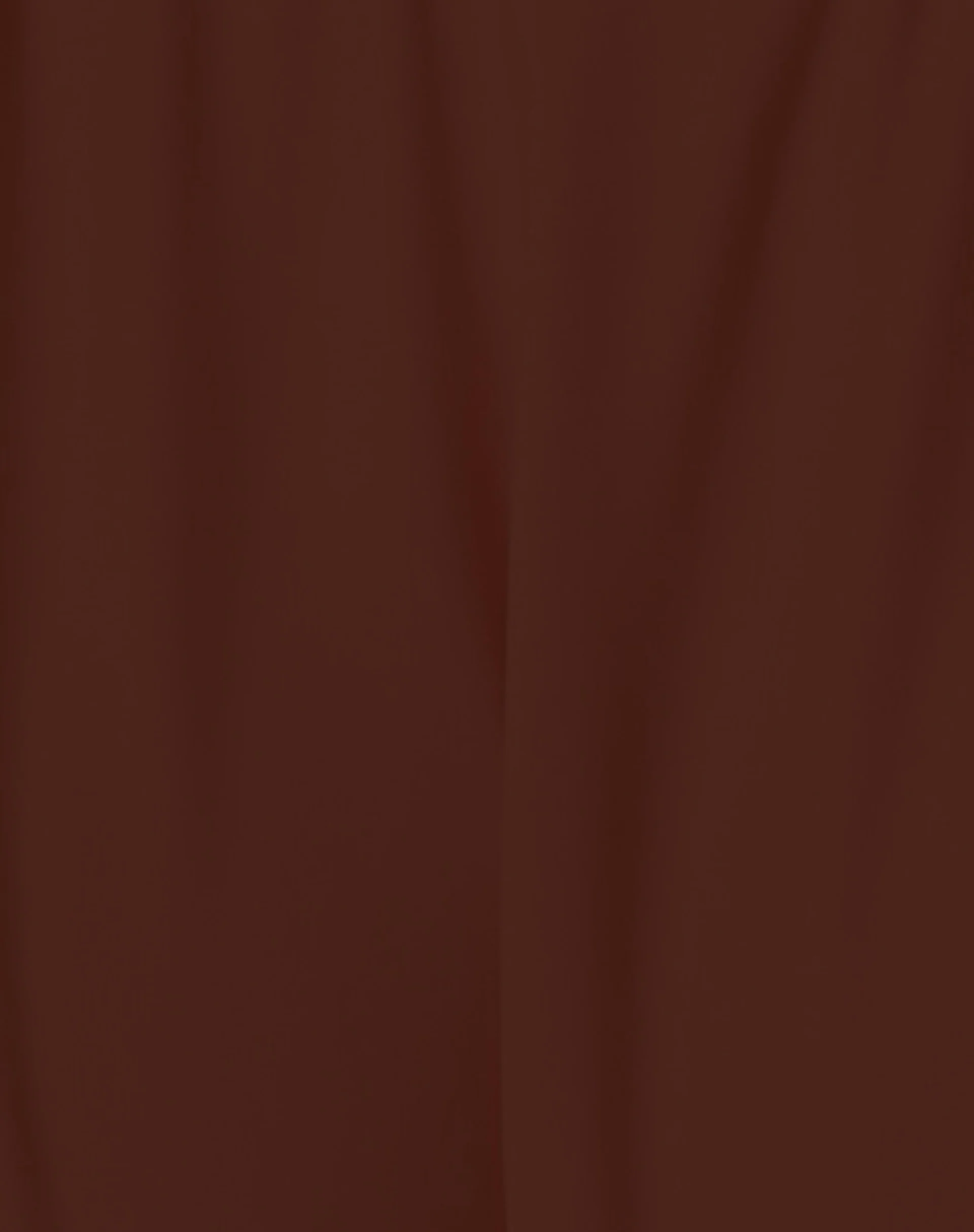 Farida Bikini Bottom in Dark Brown - Image 5