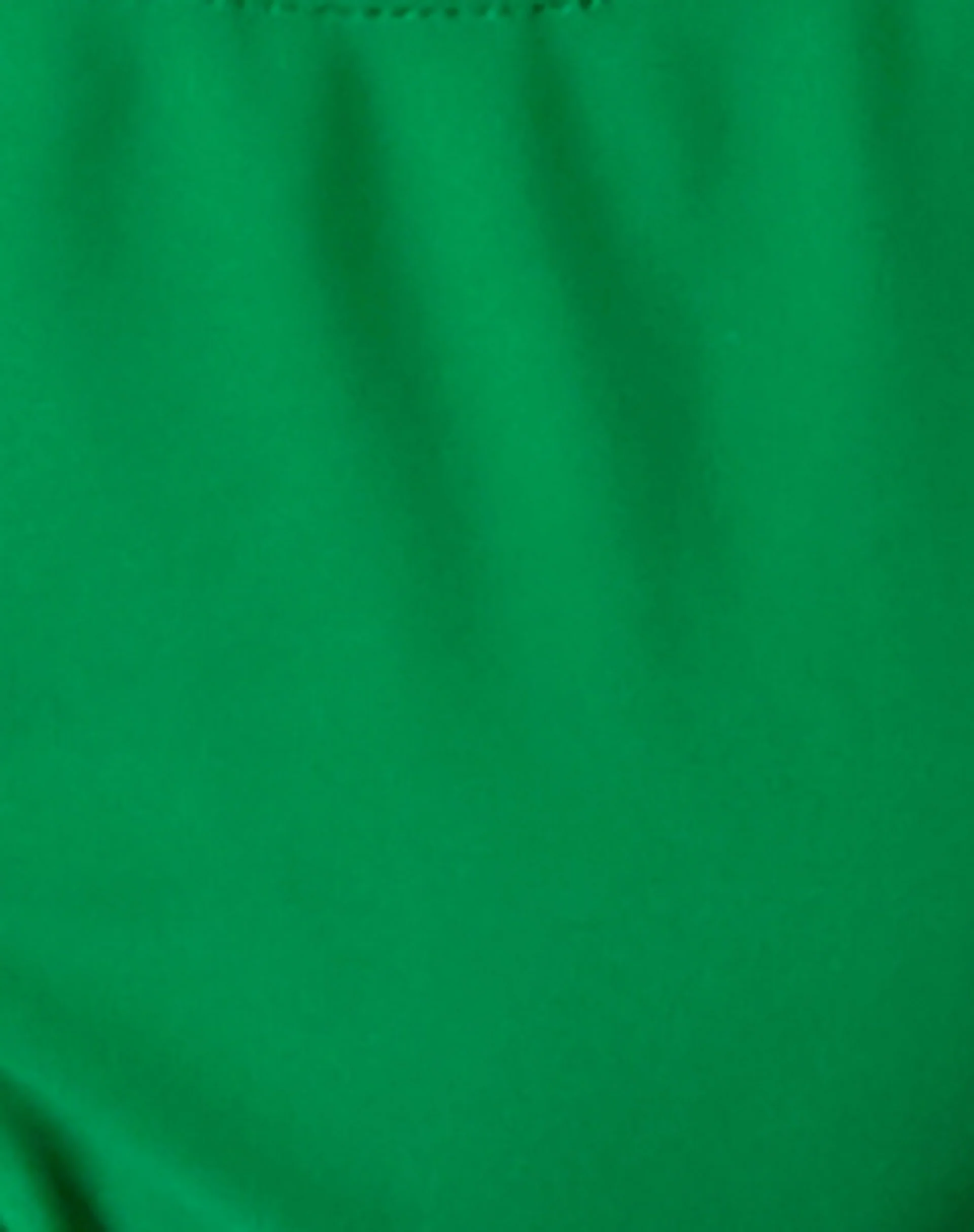 Farida Bikini Bottom in Green - Image 7