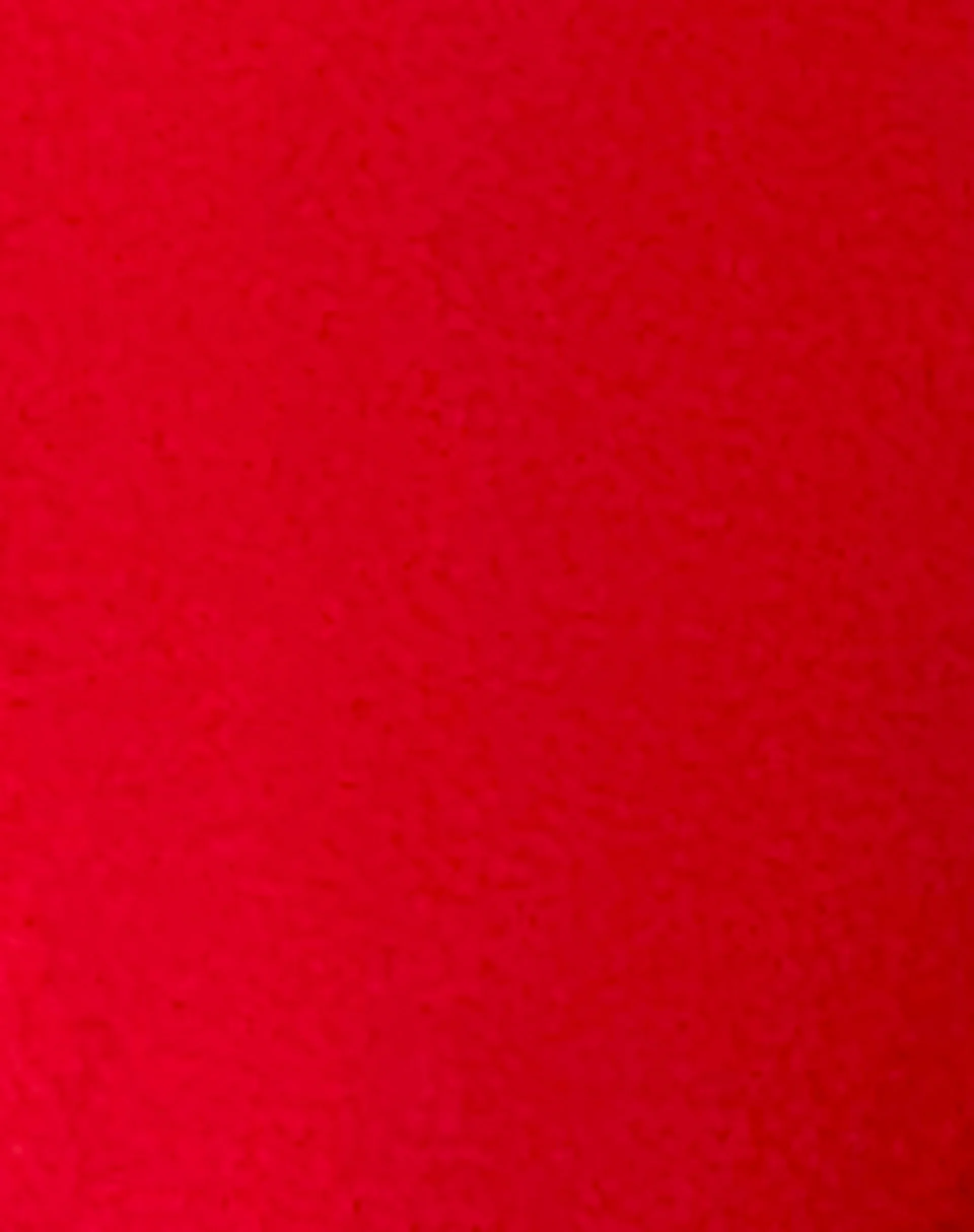 Farida Bikini Bottom in Scarlet Red - Image 7