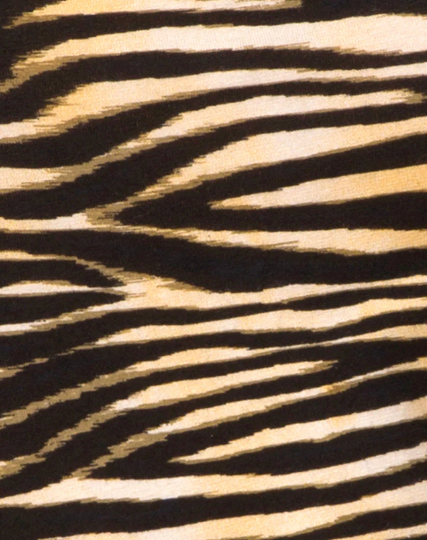 Farlie Bodycon Dress in Zip's Zebra Brown - Image 5