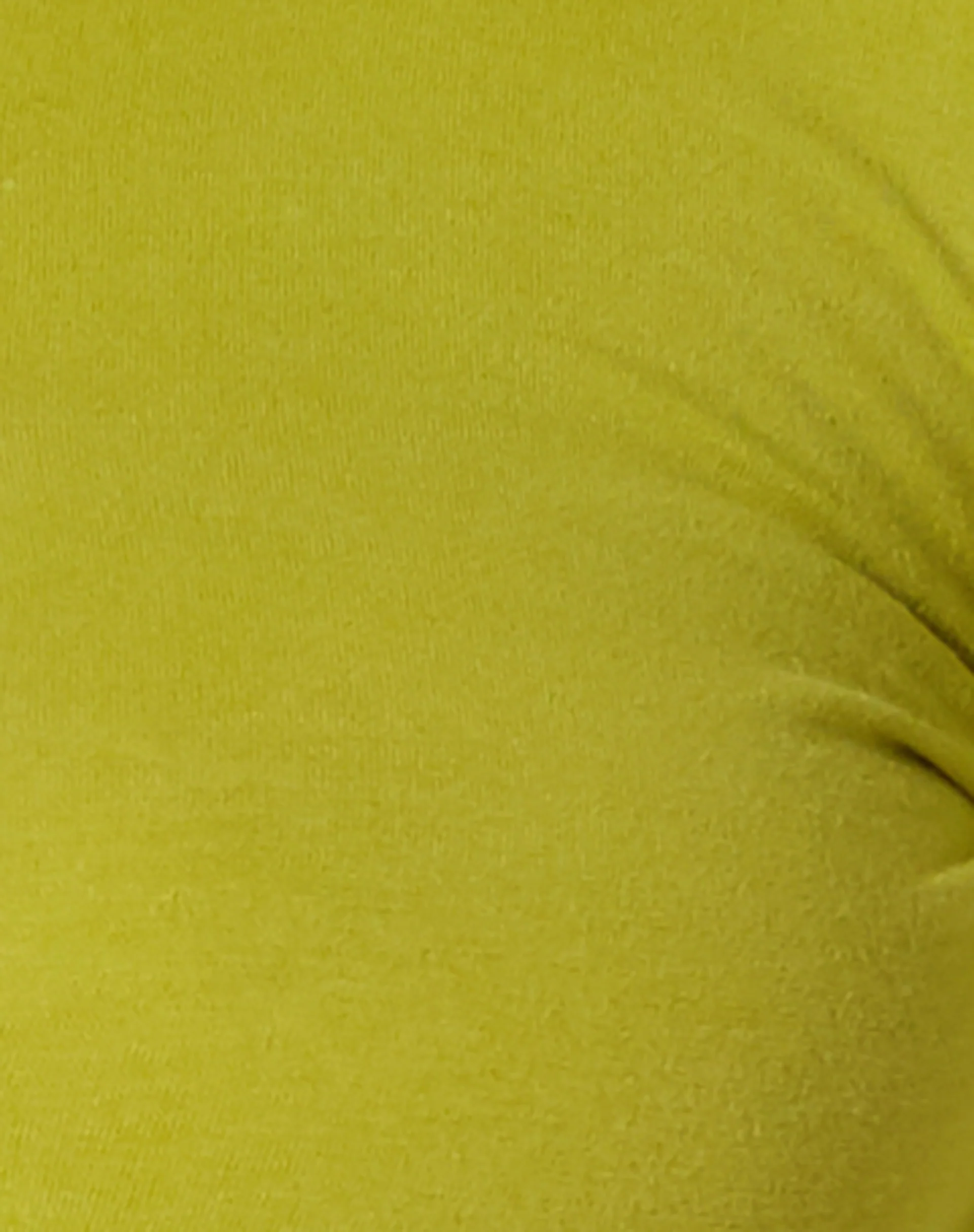 Gisy Crop Top in Lycra Lime - Image 7