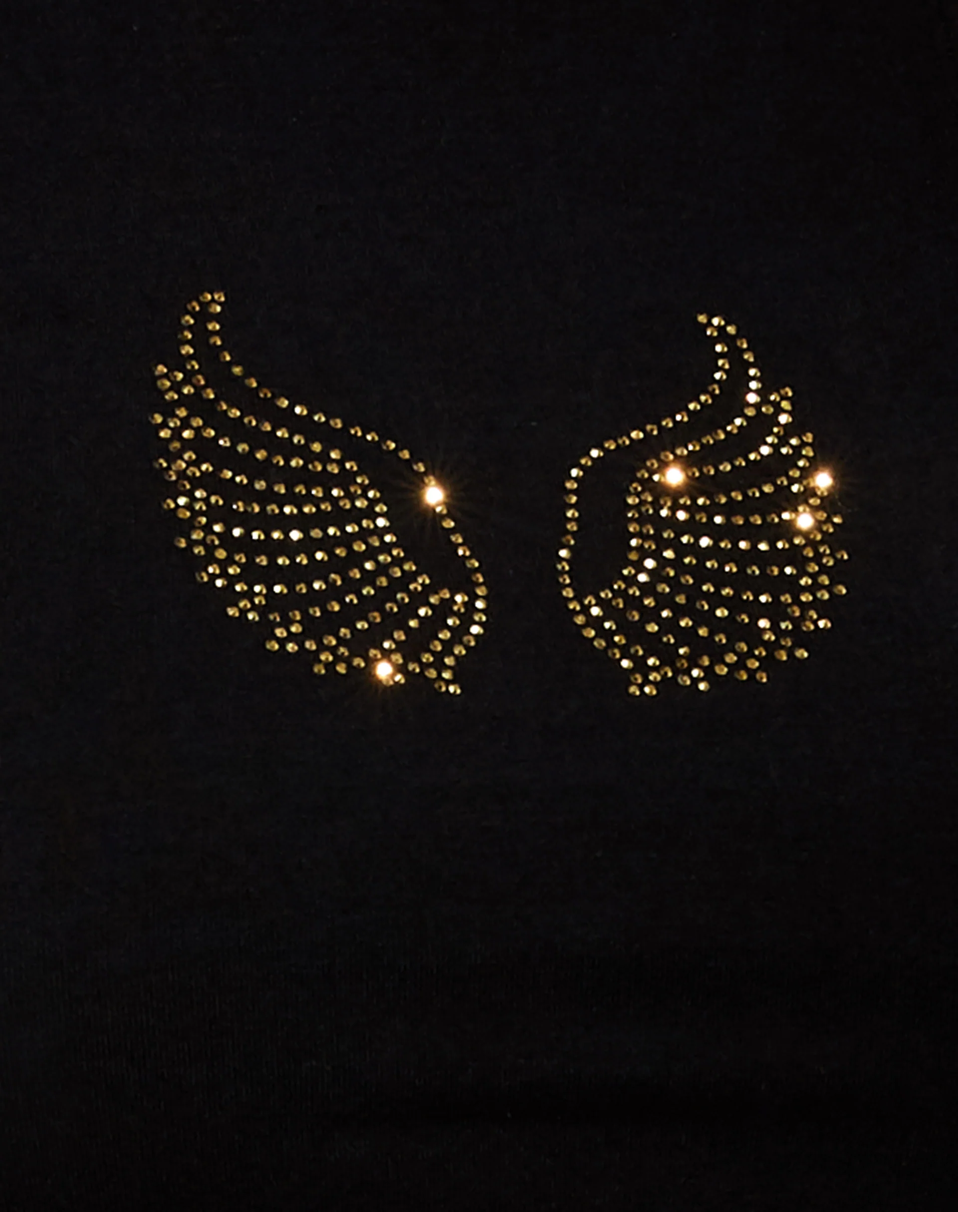Givas Crop Top in Black with Gold Angel Wings Hotfix - Image 4