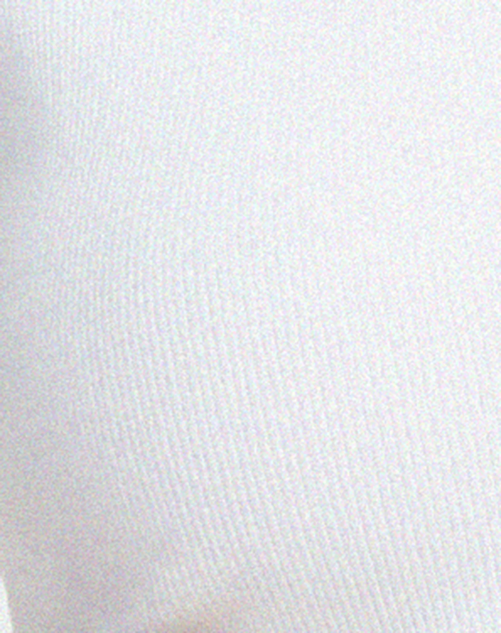 Guanna Crop Top in White - Image 6