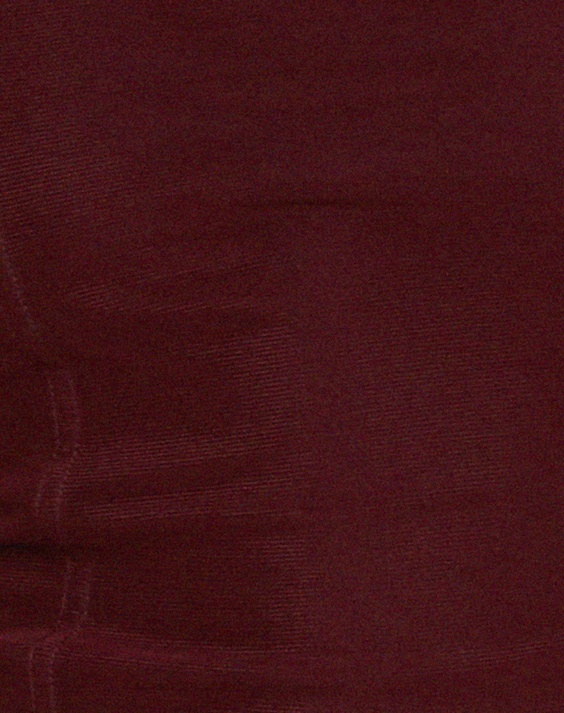 Helsiva Long Sleeve Crop Top in Mesh Burgundy - Image 7