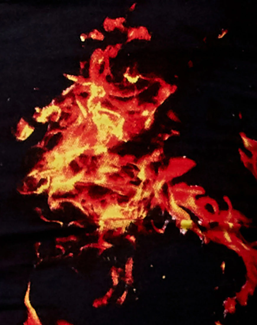 Hot Pant in Fire - Image 5