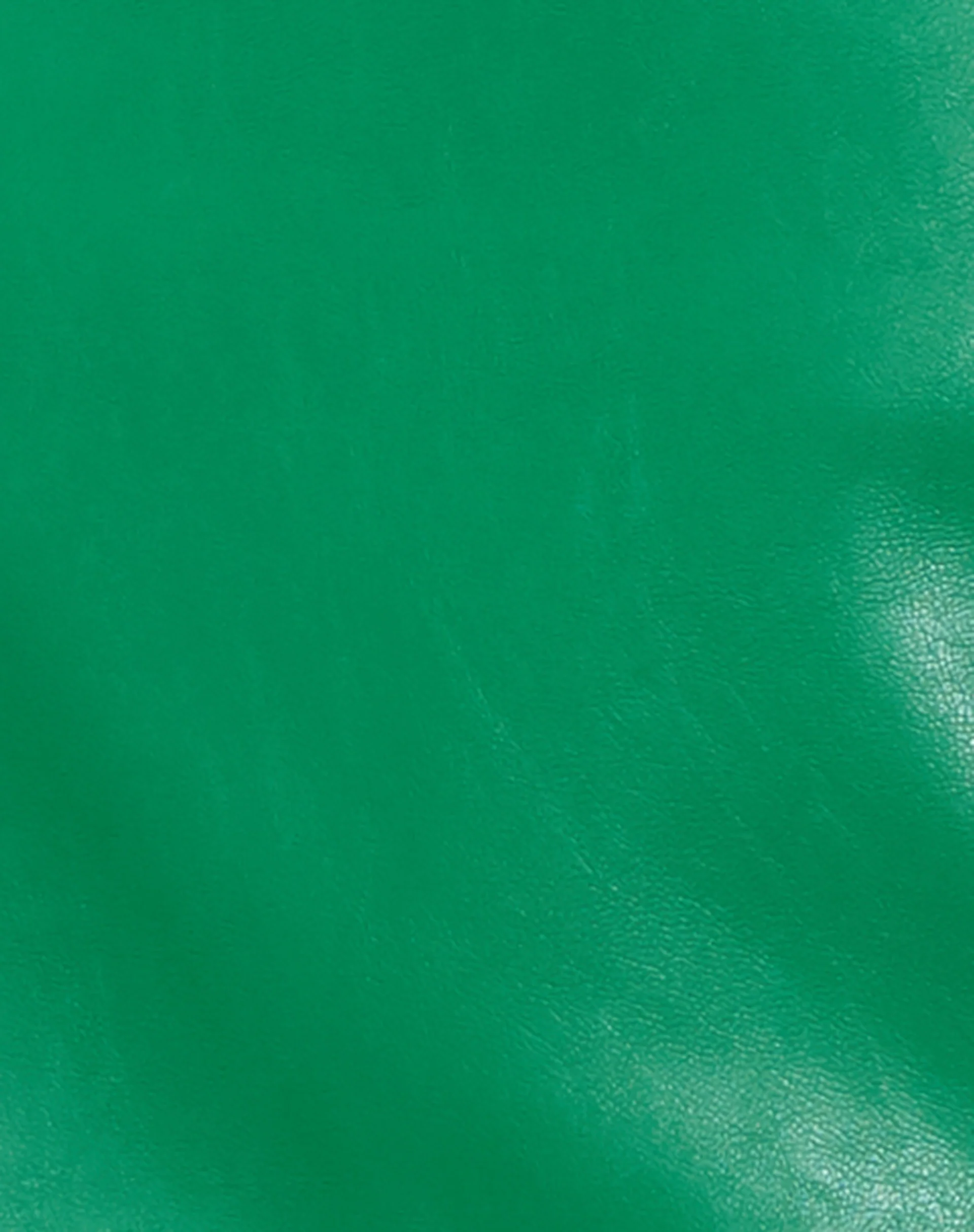 Ima Mini Skirt in Pu Kelly Green - Image 6