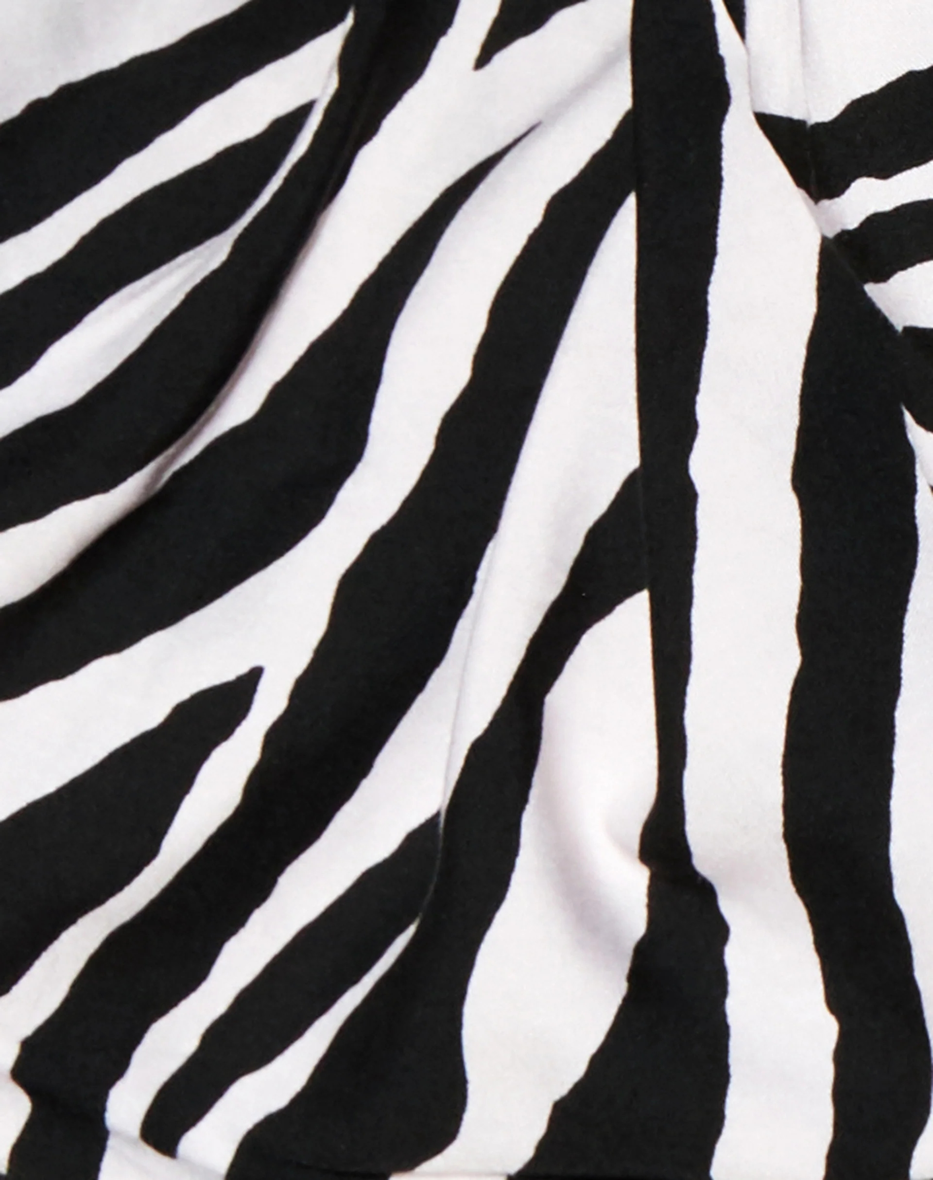 Irene Crop Top in Huge Zebra - Image 8