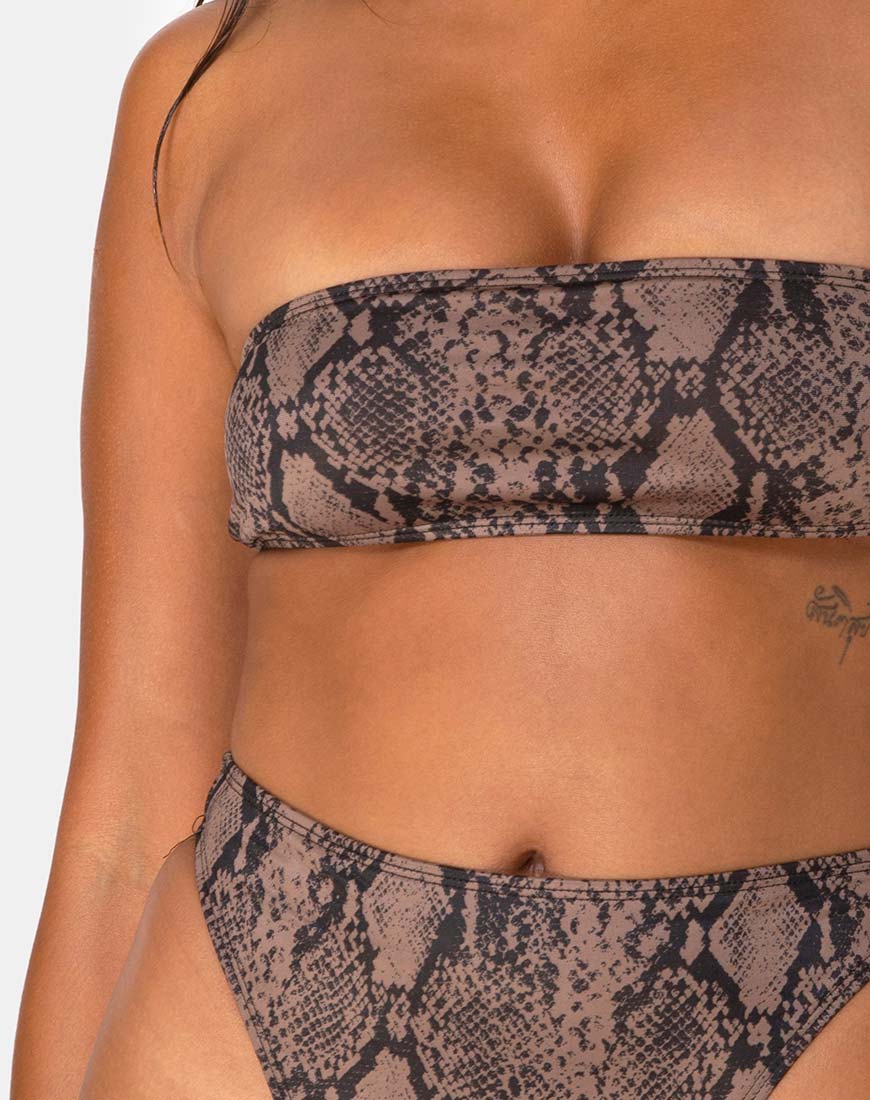 Izarla Bikini Top in Snake Taupe - Image 5