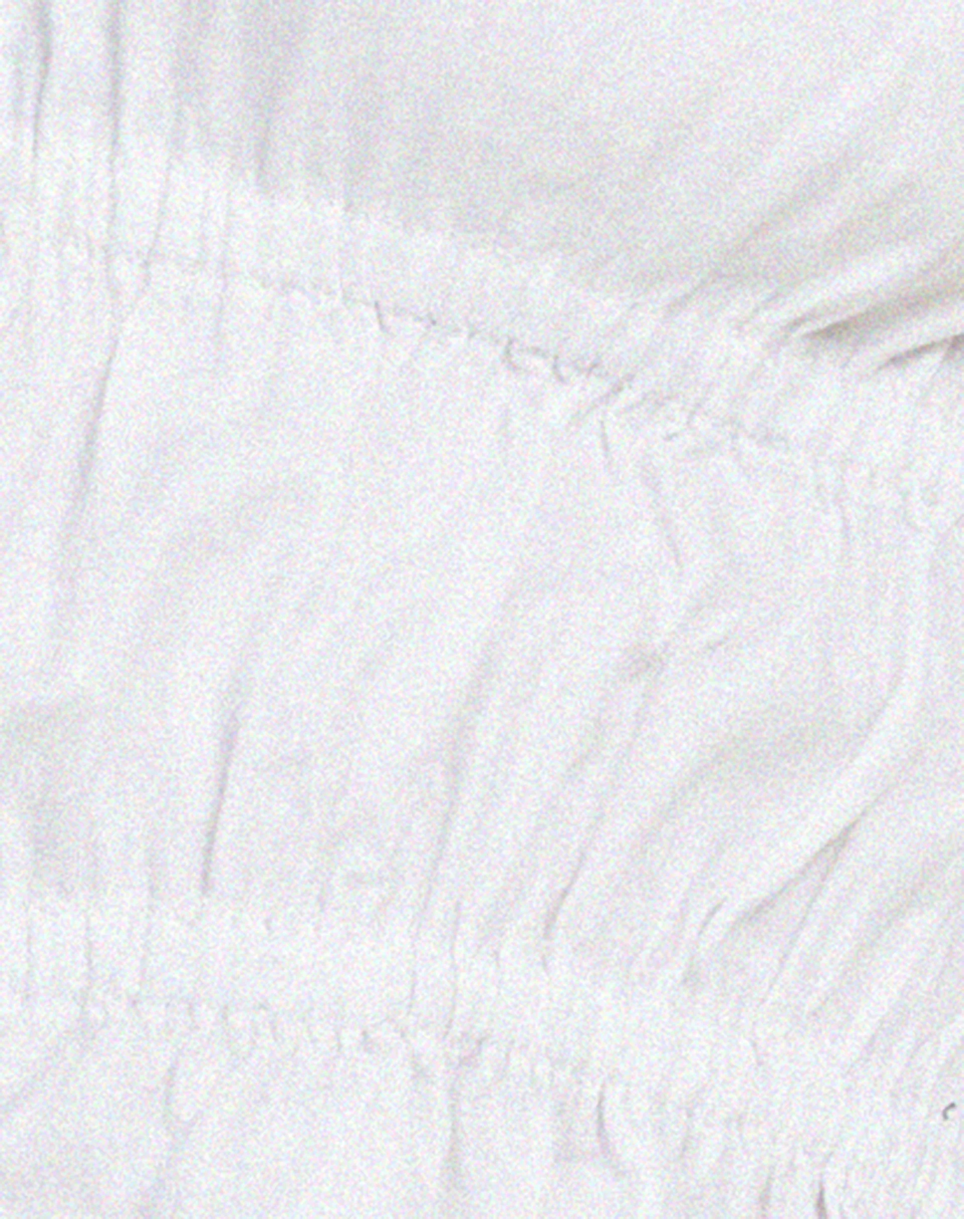 Kayson Crop Top in White - Image 7