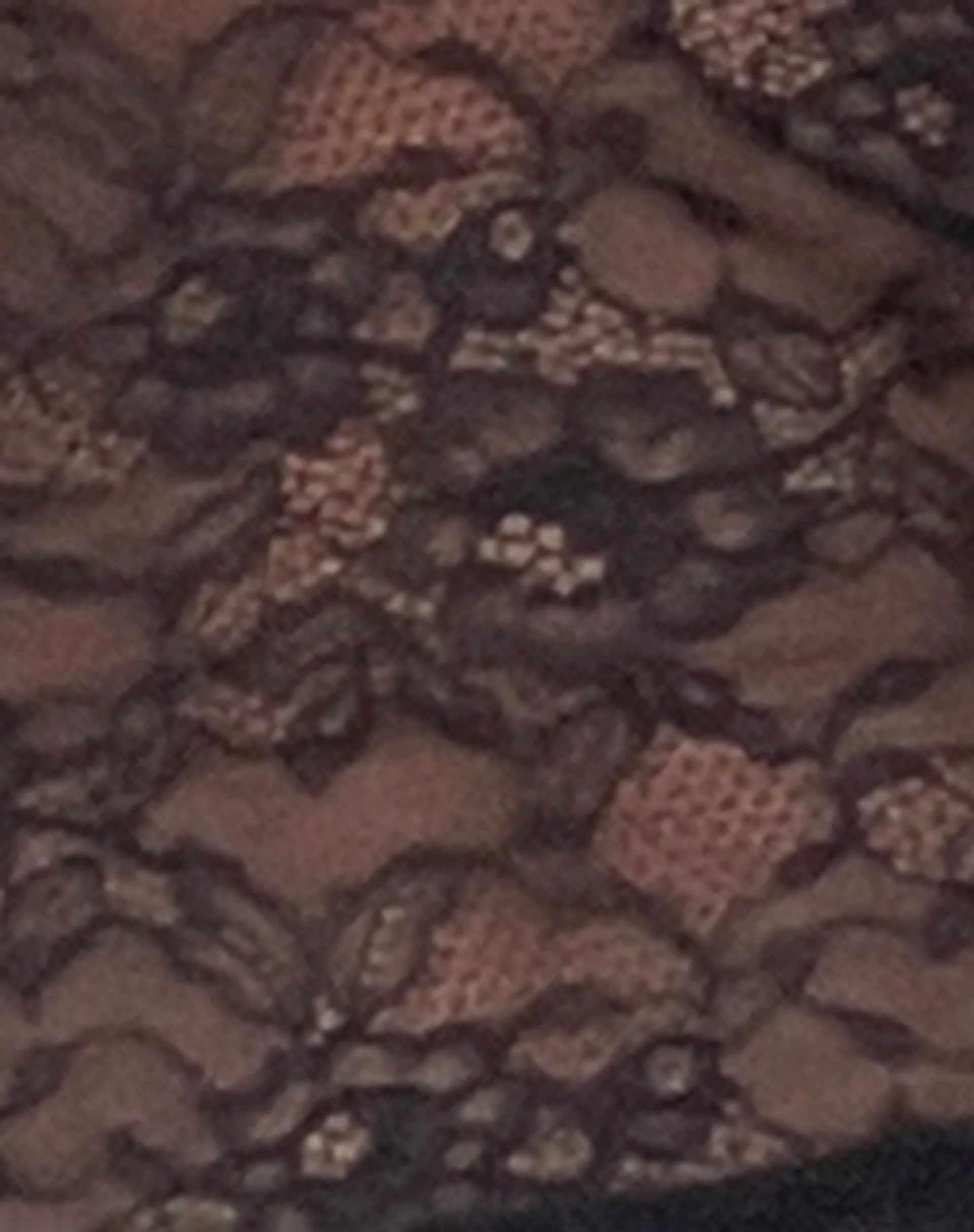 Lainey Unlined Long Sleeve Top in Black Lace - Image 7