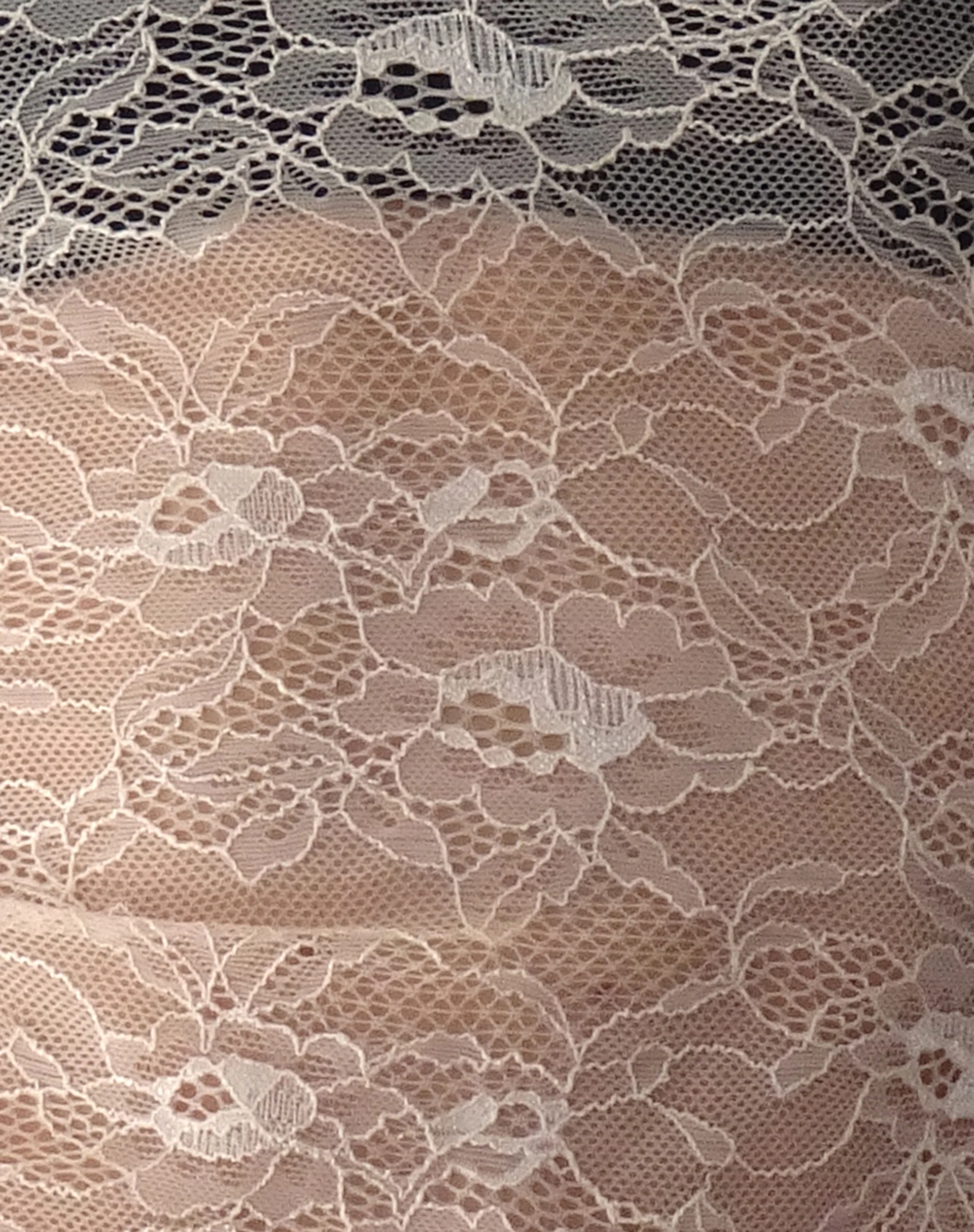 Lainey Long Sleeve Lace Top in Blush - Image 5