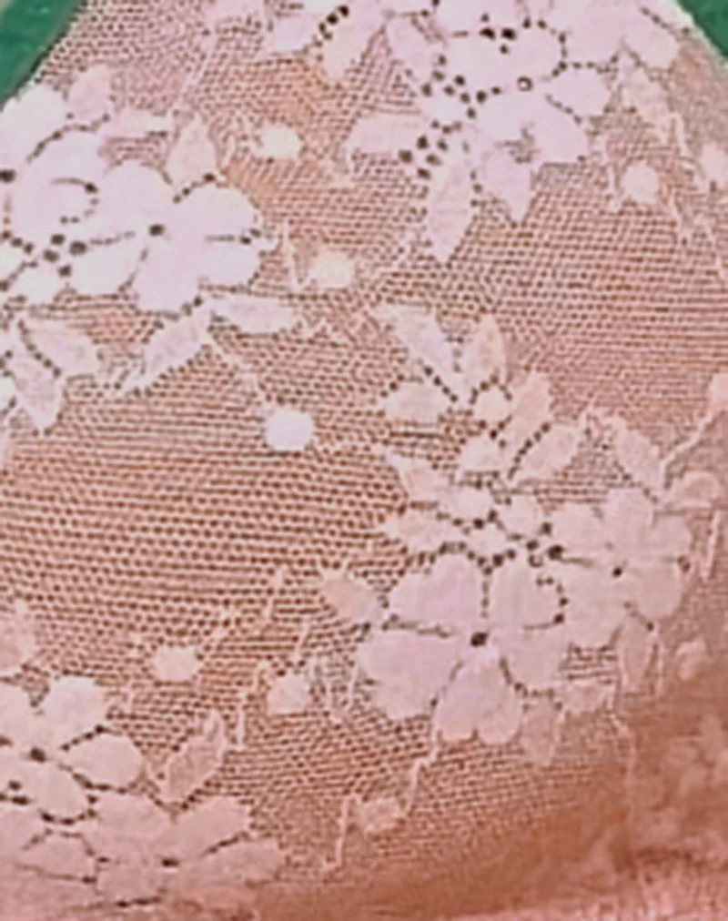 Lakara Bra in Pink Mesh with Green Contrast Binding - Image 7