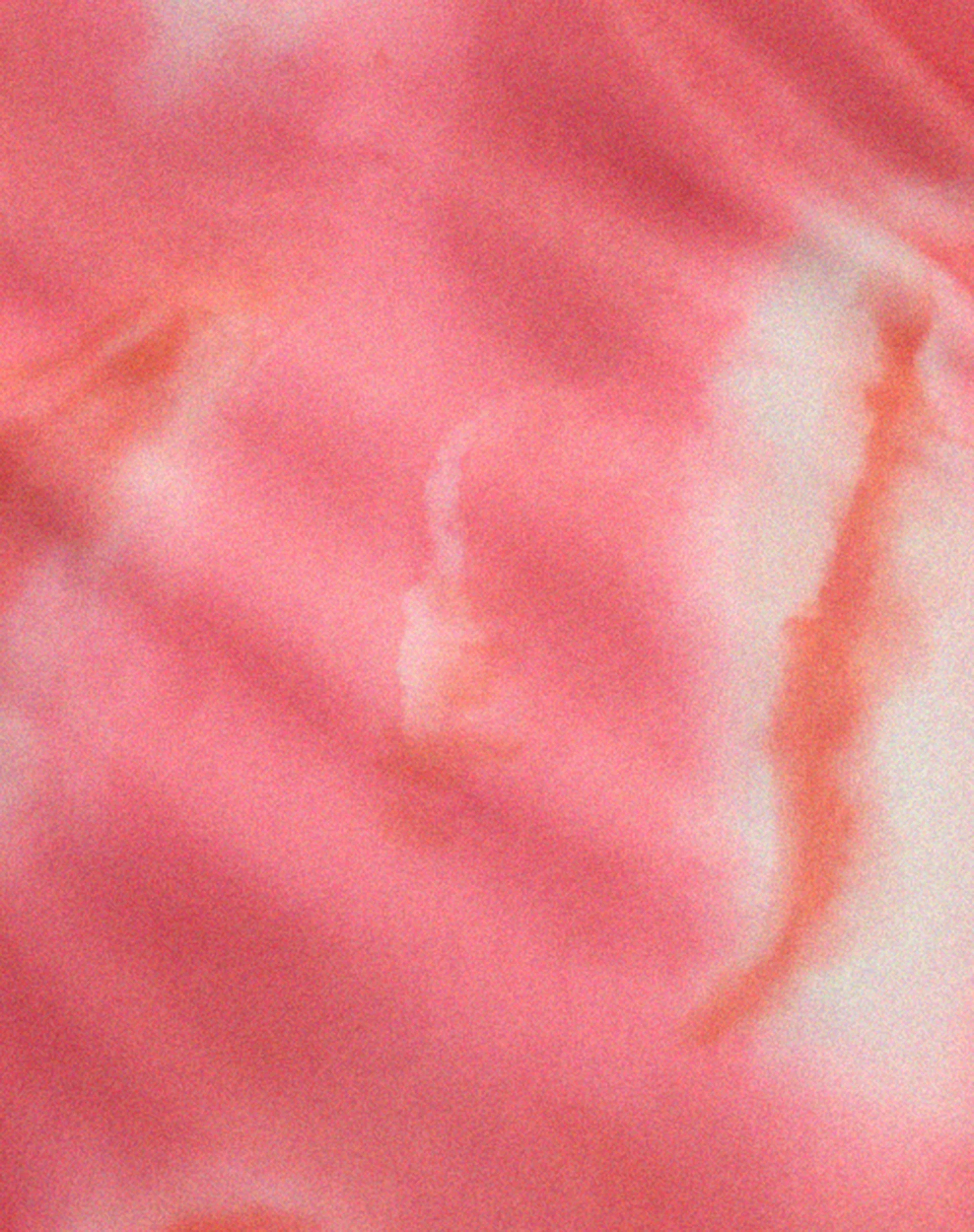 Lassie Maxi Skirt in Abstract Blurred Pink - Image 5
