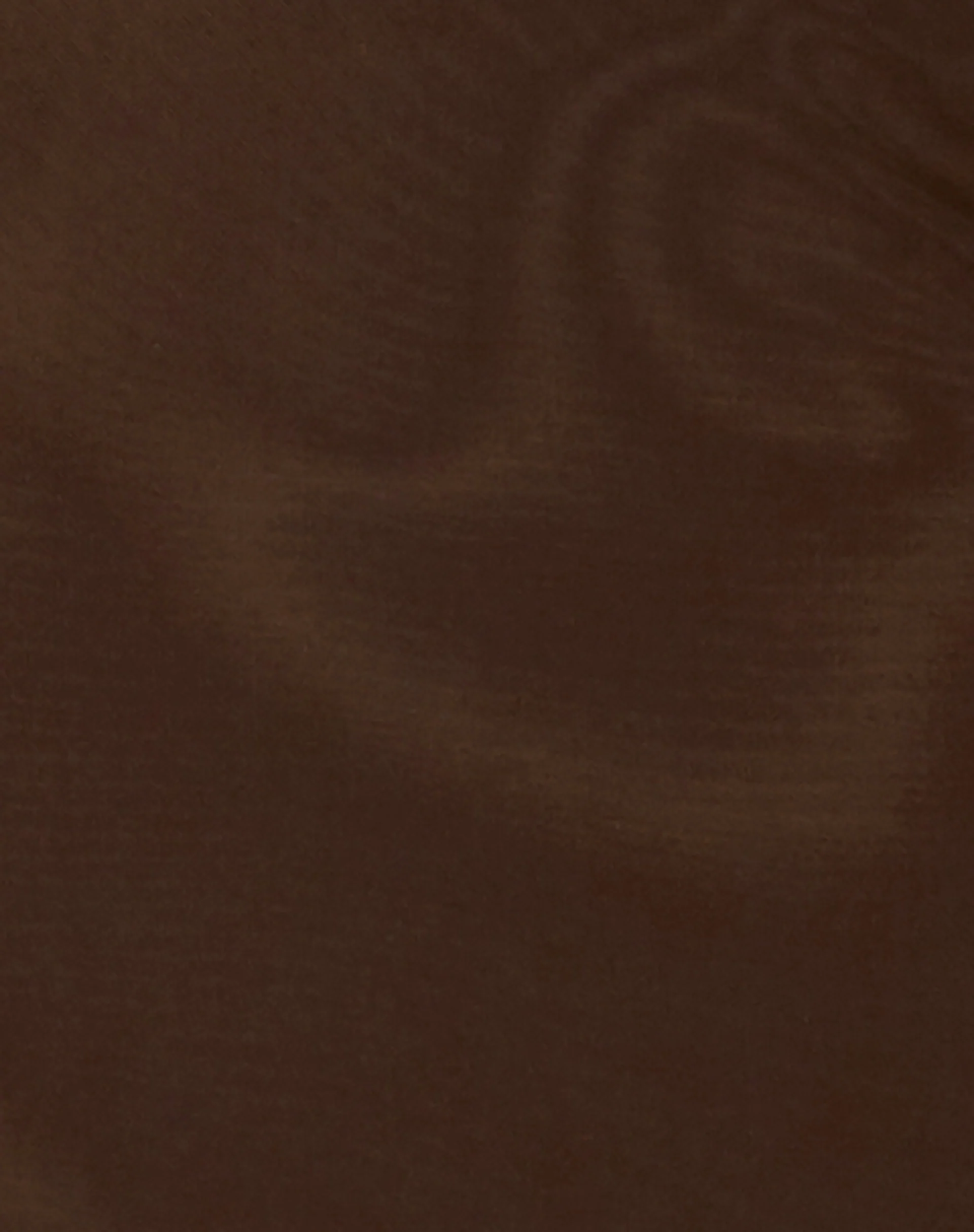 Lassie Midi Skirt in Mesh Brown - Image 7