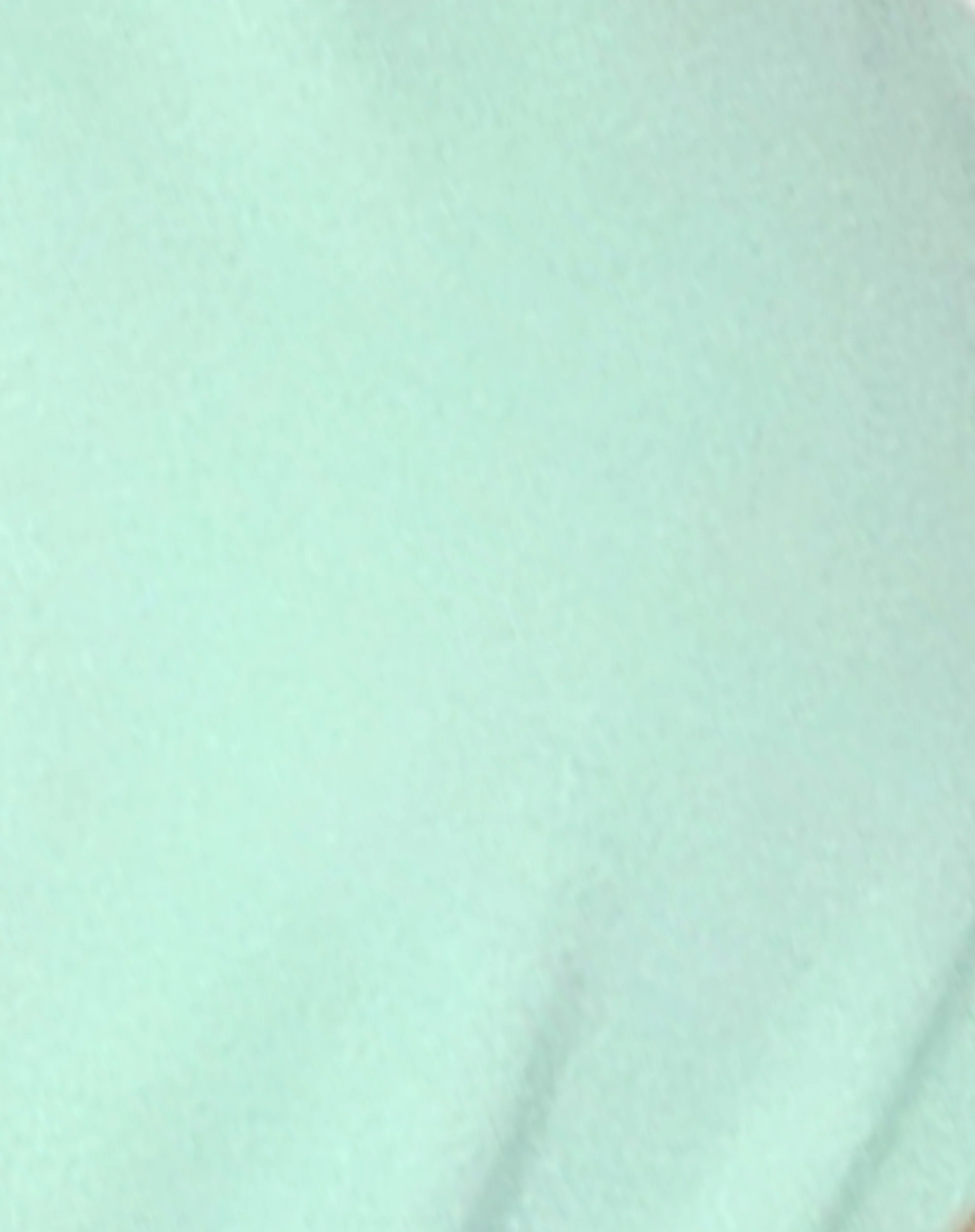 Laufey Bikini Top in Lichen Green - Image 7