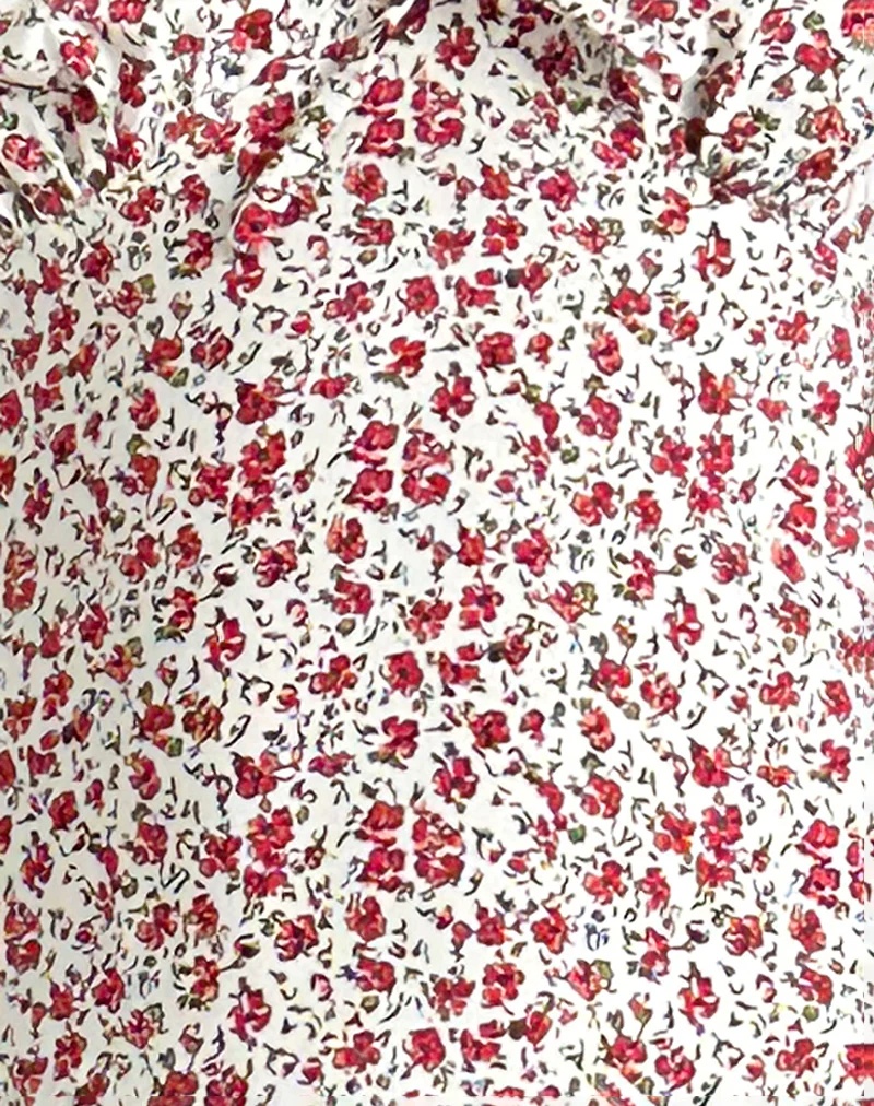 Lavisha Midi Dress in Pretty Ditsy - Image 6