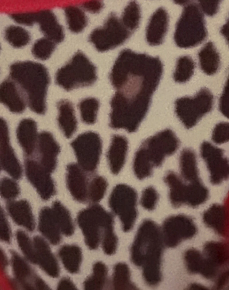 Lentra Contrast Ties Bikini Bottoms in Rar Leopard - Image 6