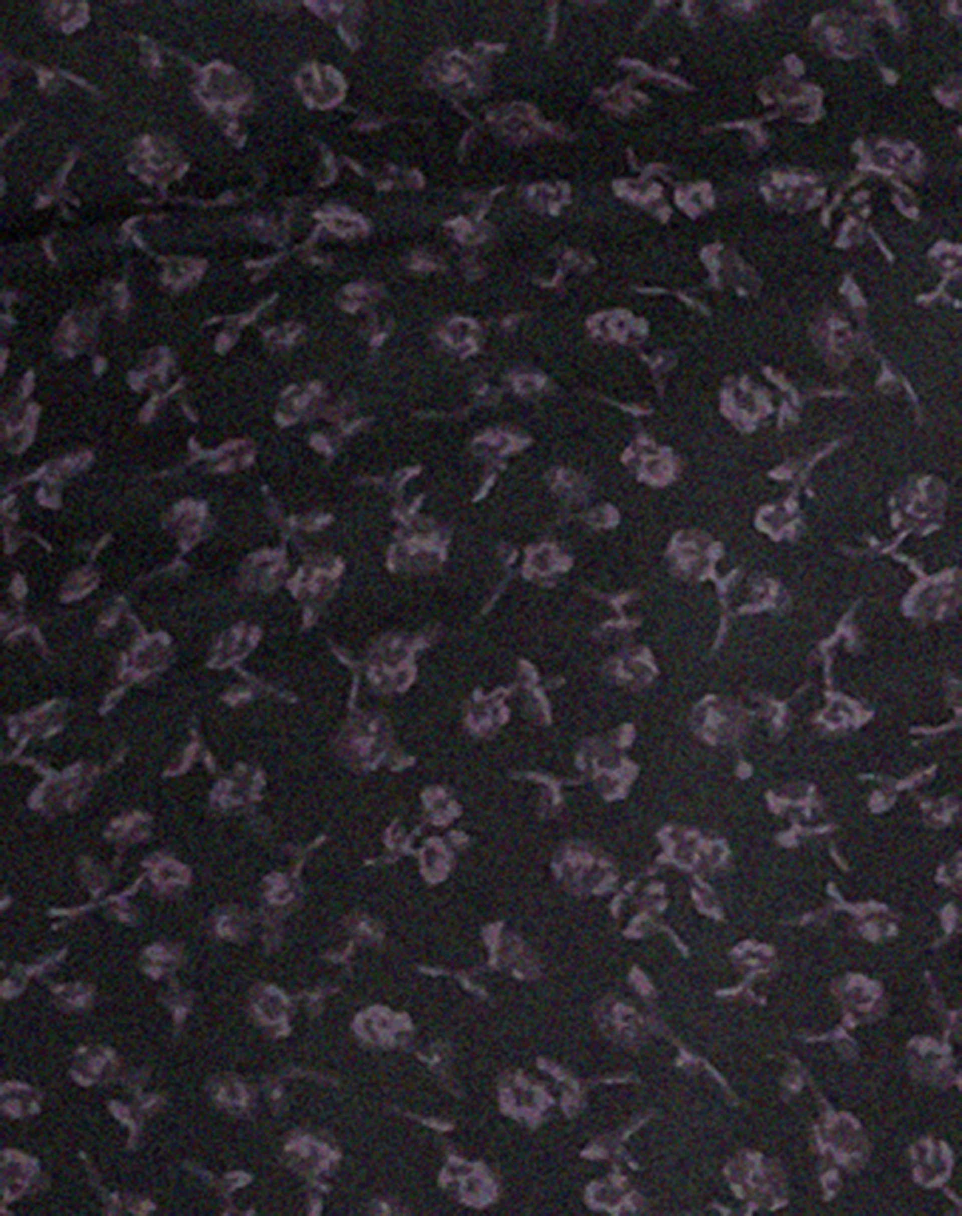 Leony Cardi in Dark Ditsy Rose Black - Image 7