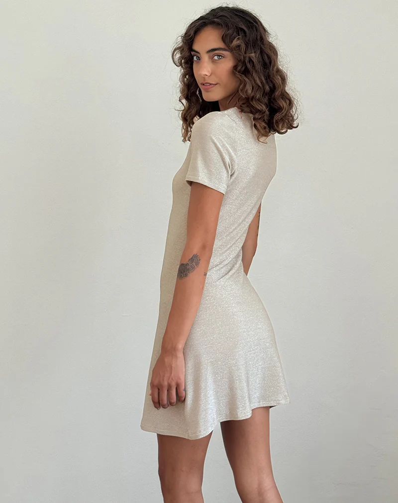 Leora Mini Dress in Silver Mink - Image 4