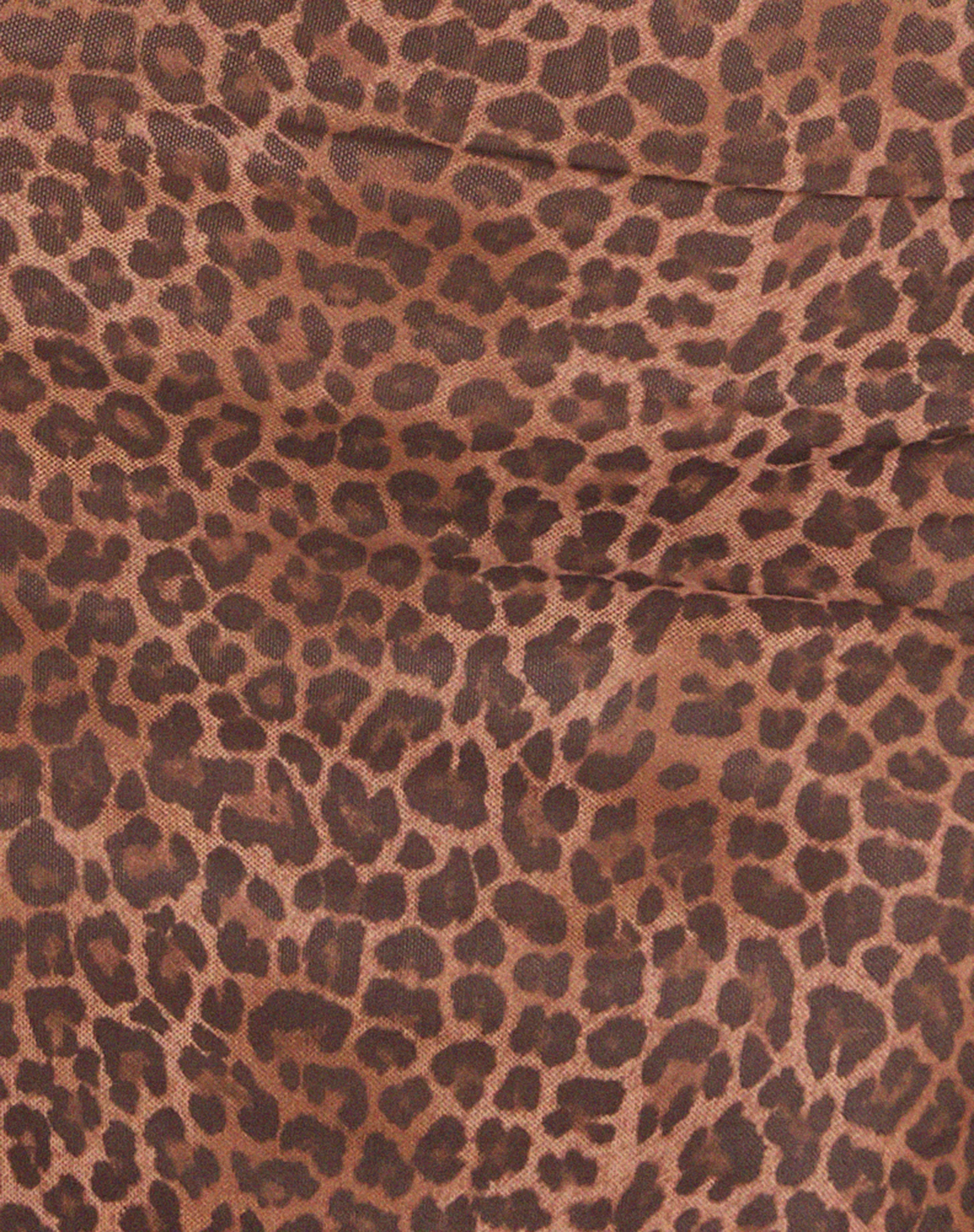 Lestila Mini Dress in Rar Leopard Mesh - Image 6