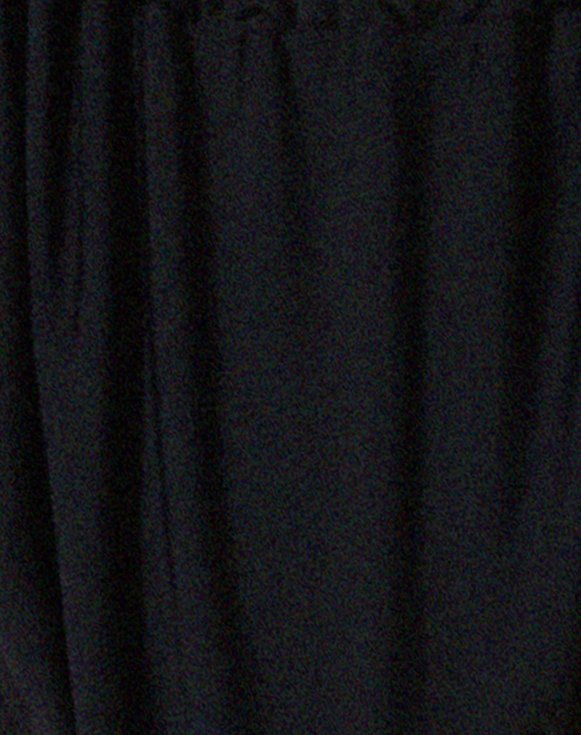 Leyna Bikini Bottom in Black - Image 7
